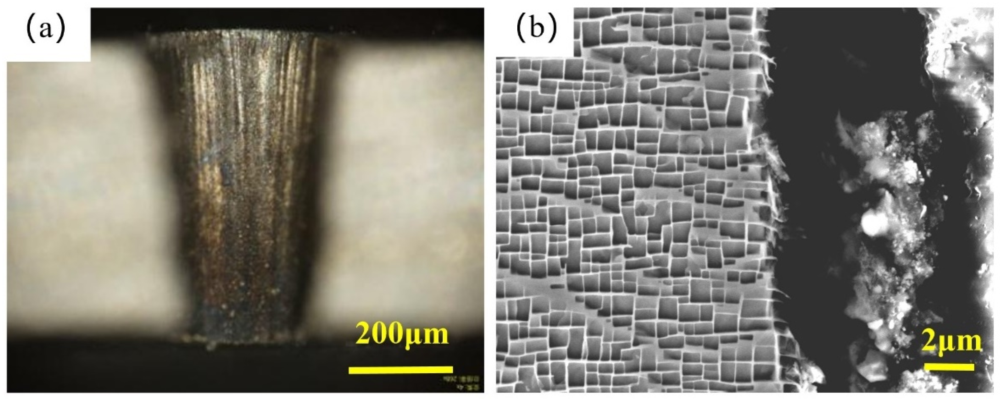 Metals 14 01354 g002