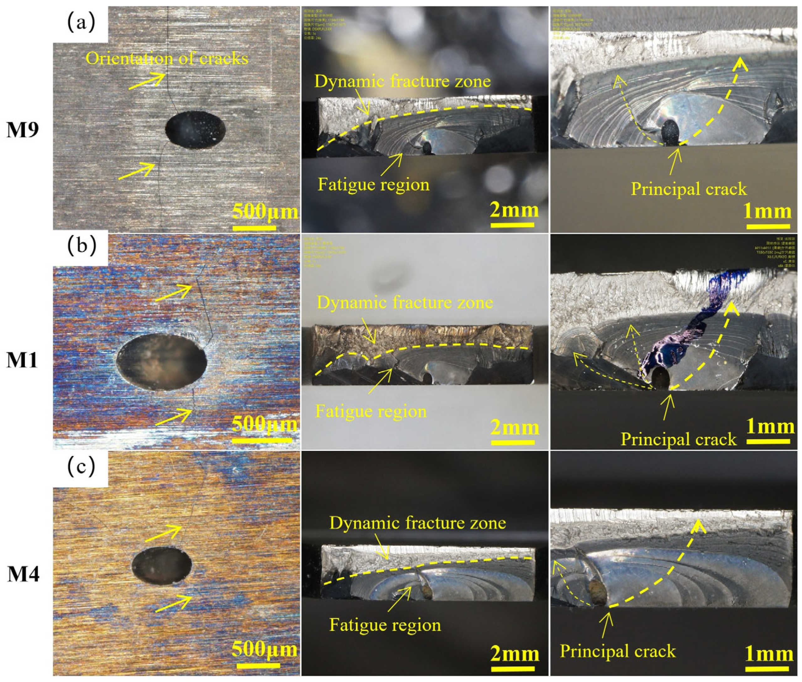 Metals 14 01354 g005
