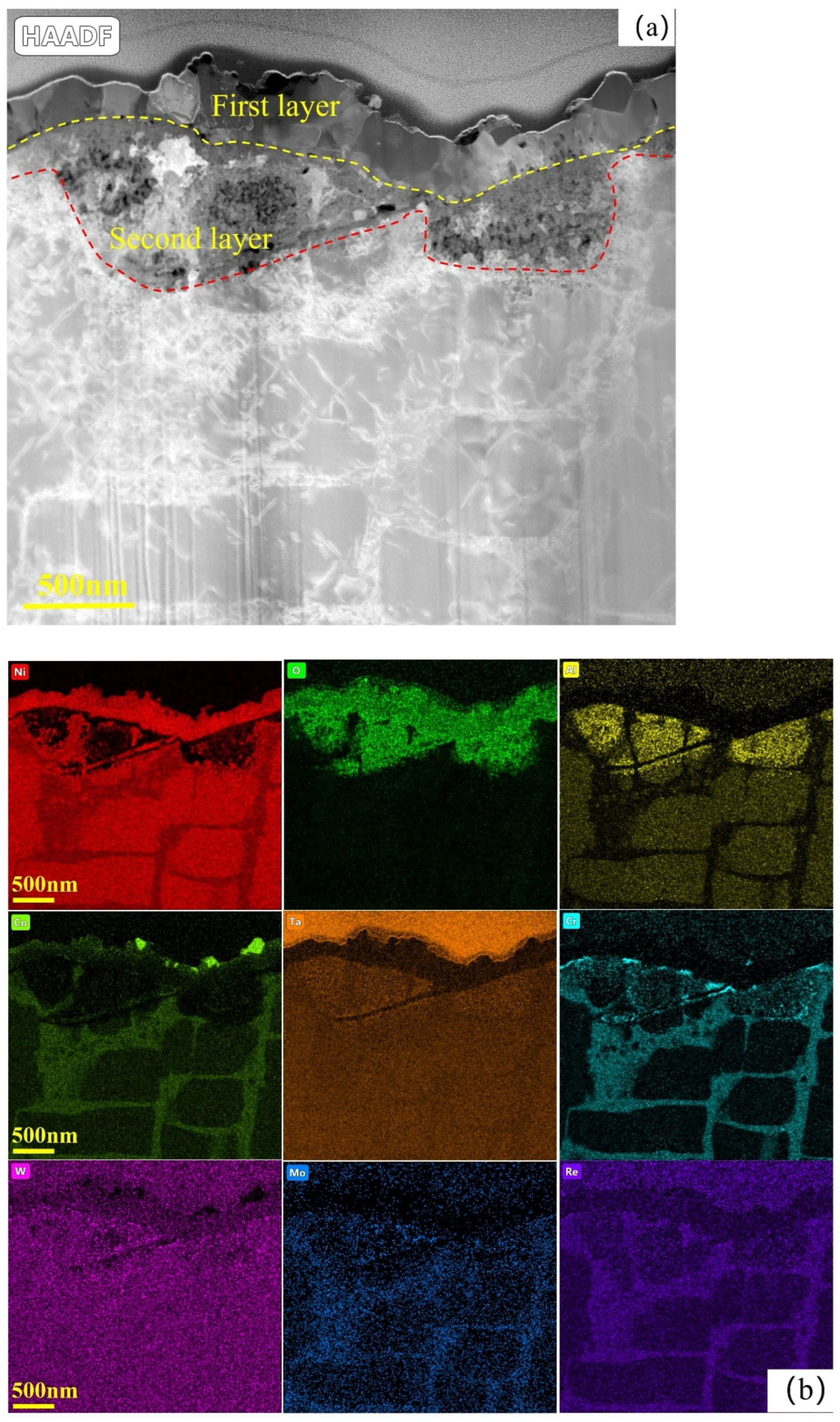 Metals 14 01354 g008