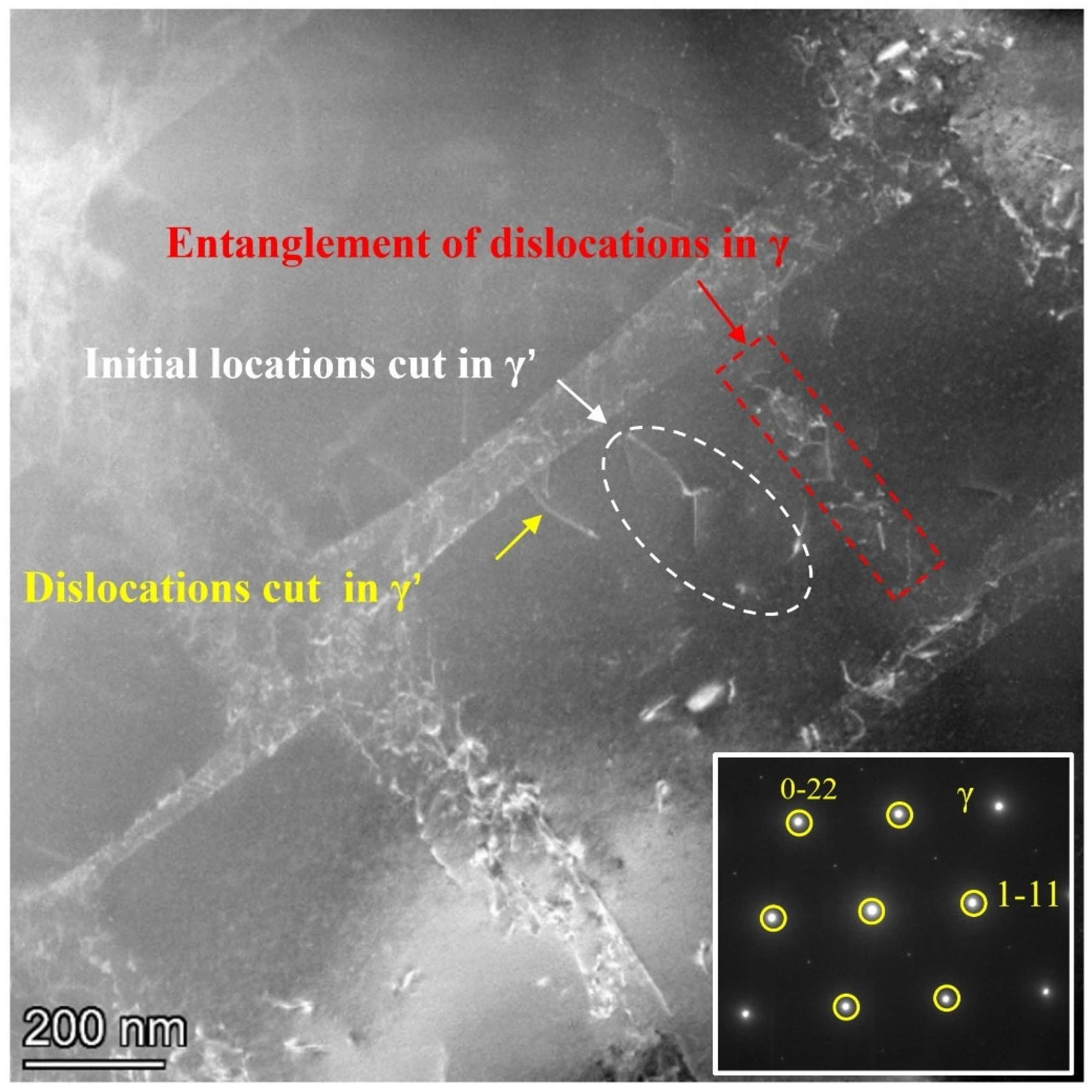 Metals 14 01354 g009