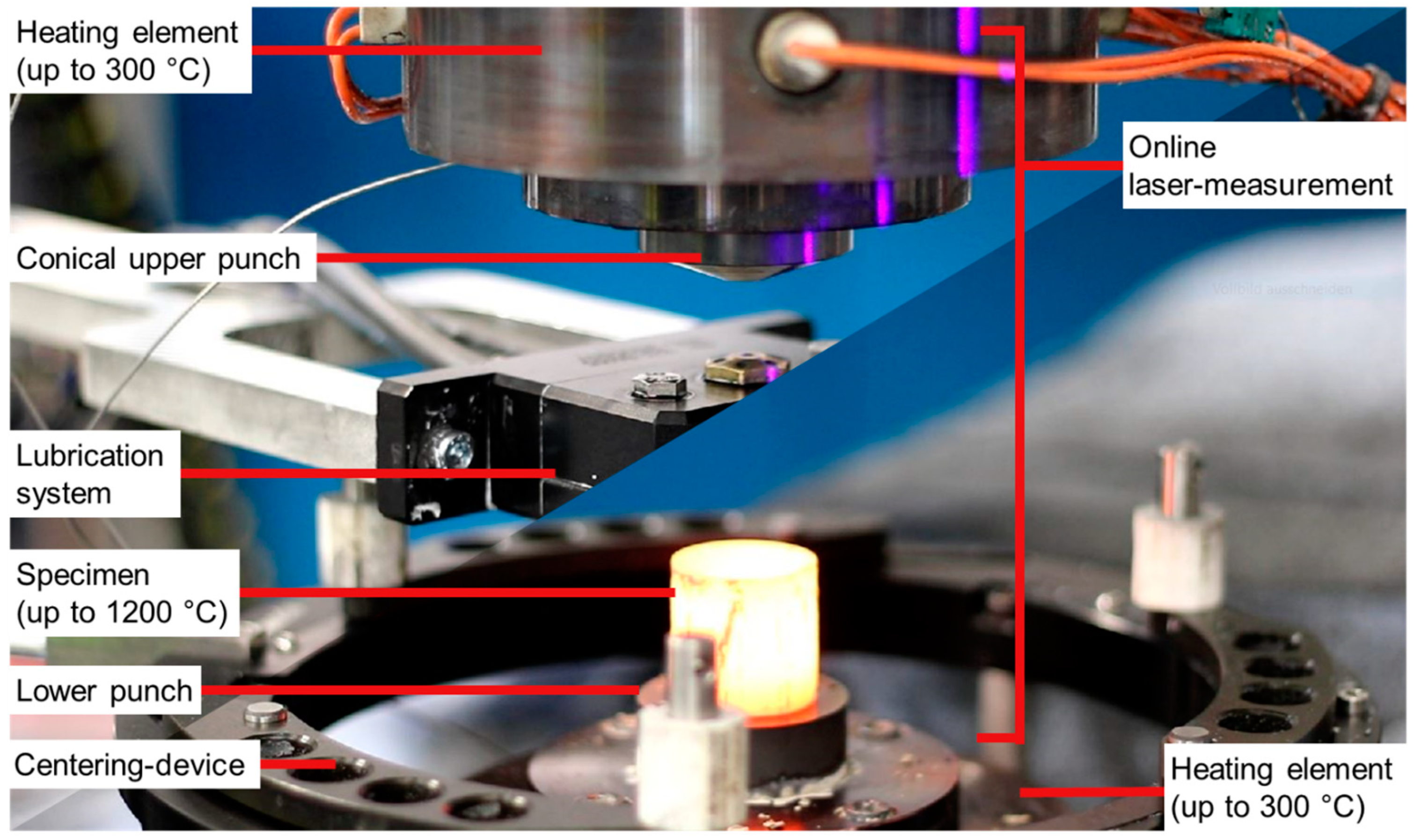 Metals 14 01355 g007