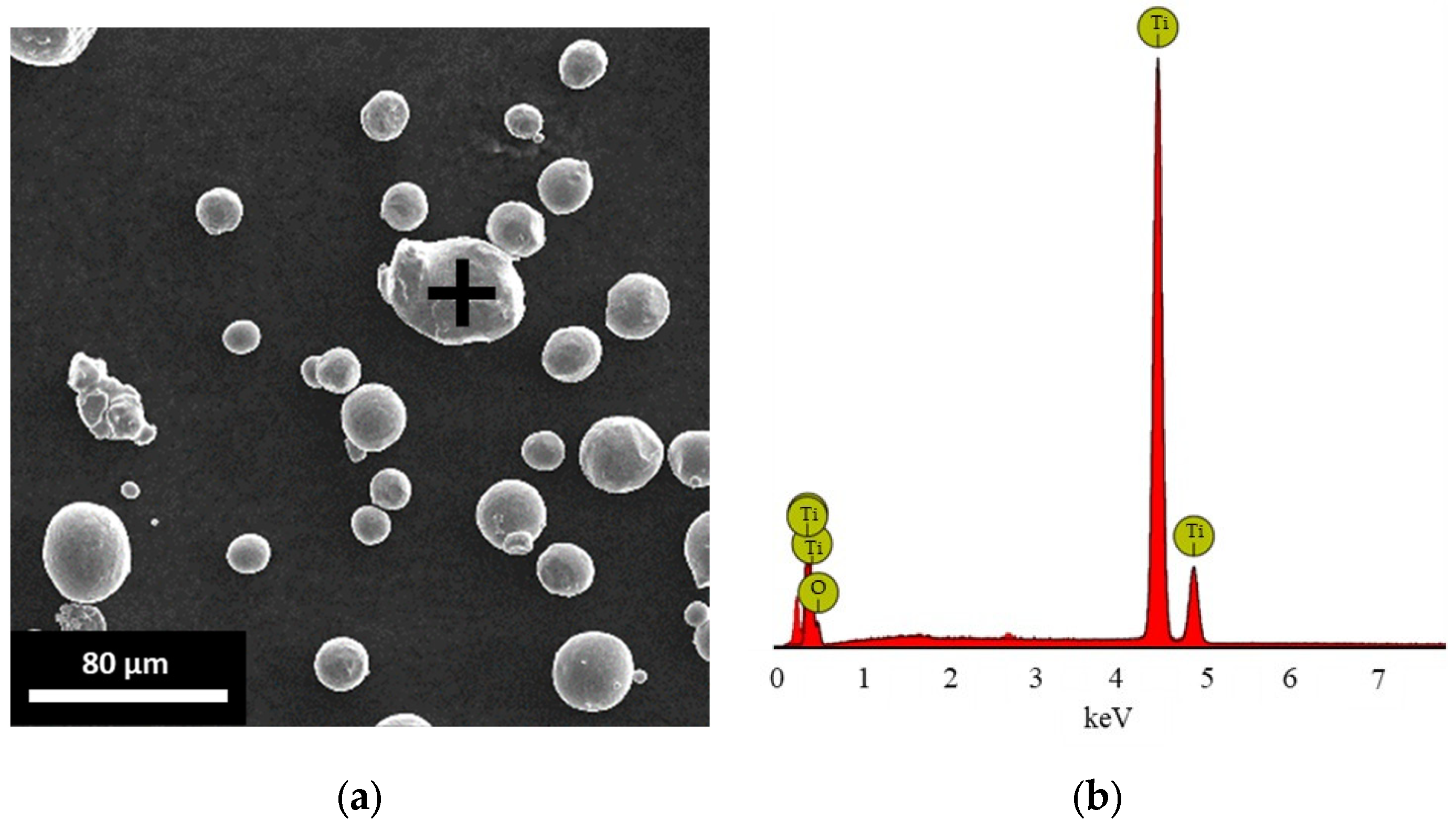 Metals 14 01357 g001