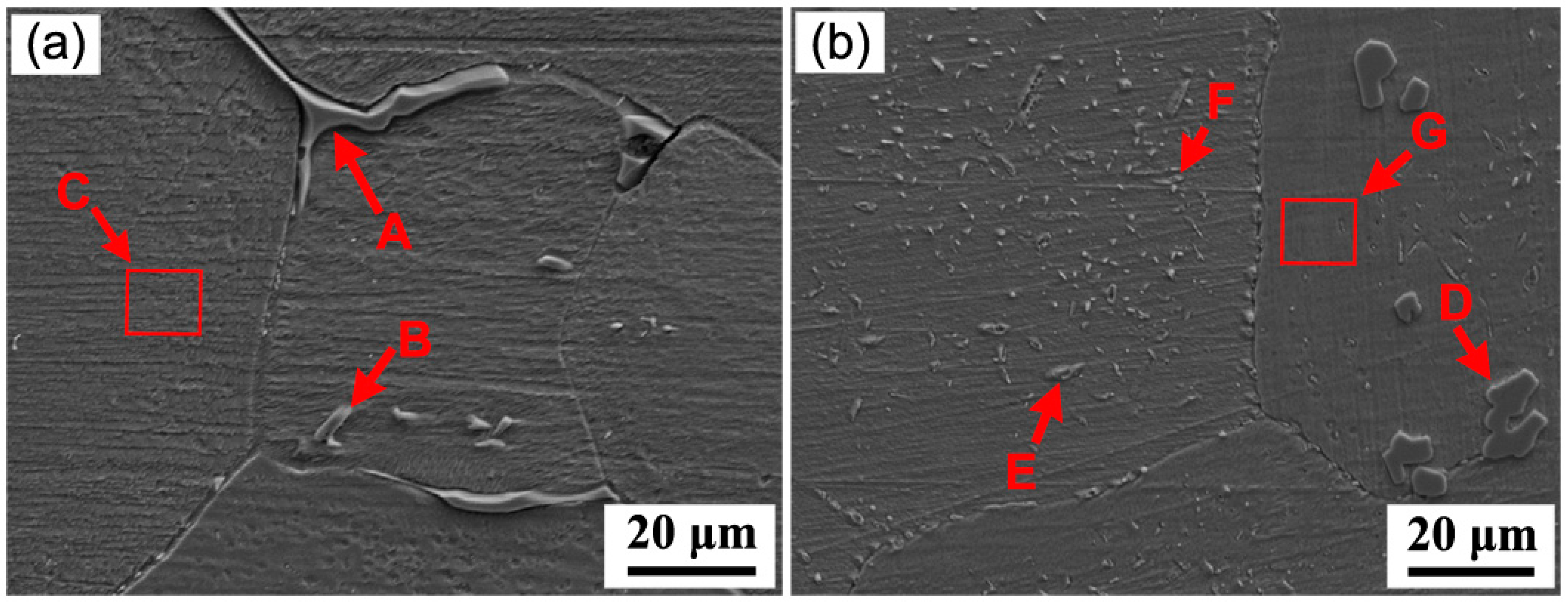 Metals 14 01360 g004