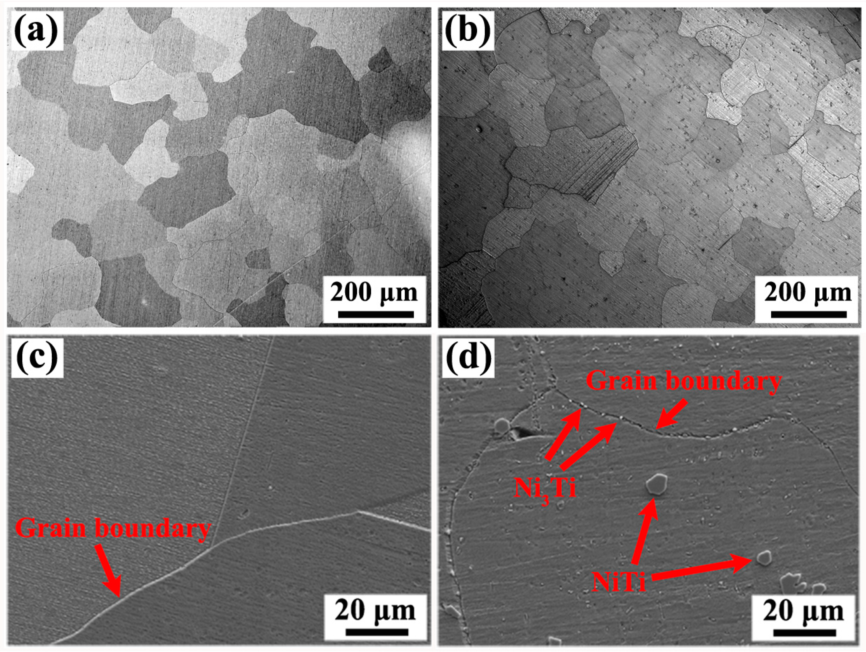 Metals 14 01360 g006