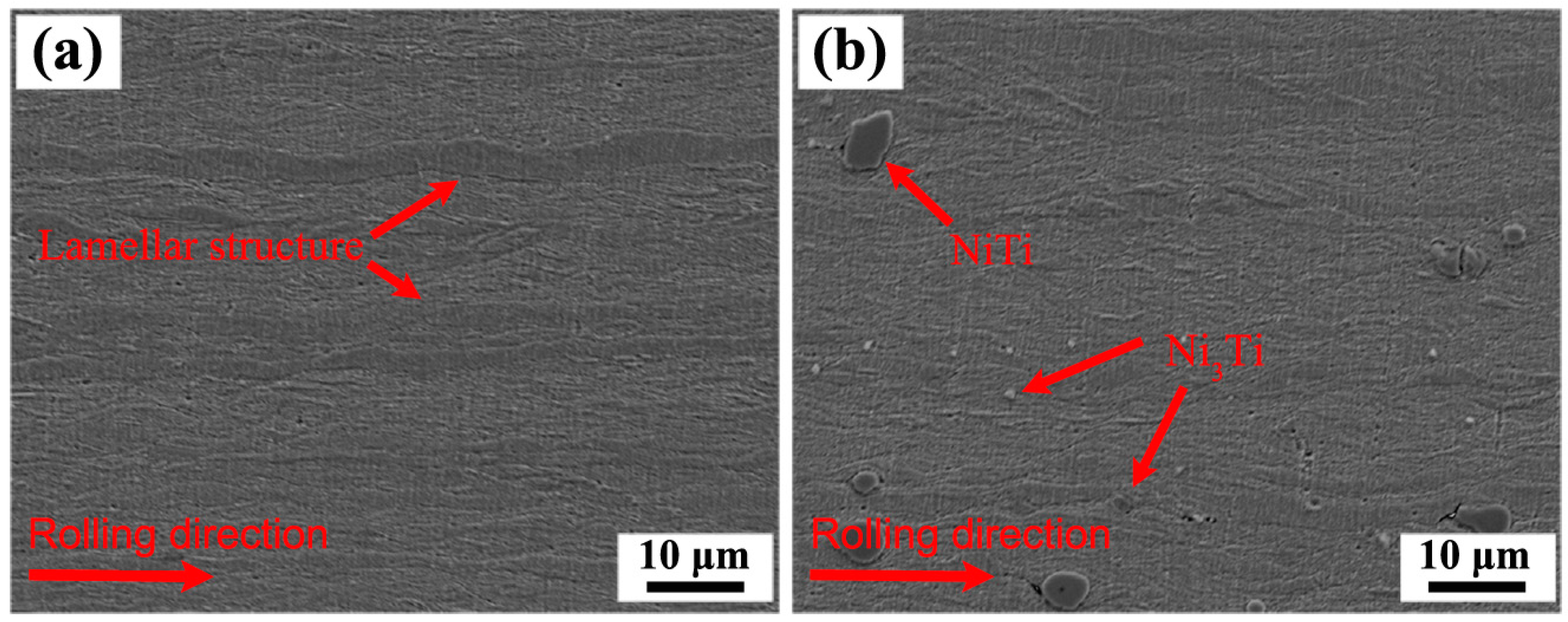 Metals 14 01360 g007