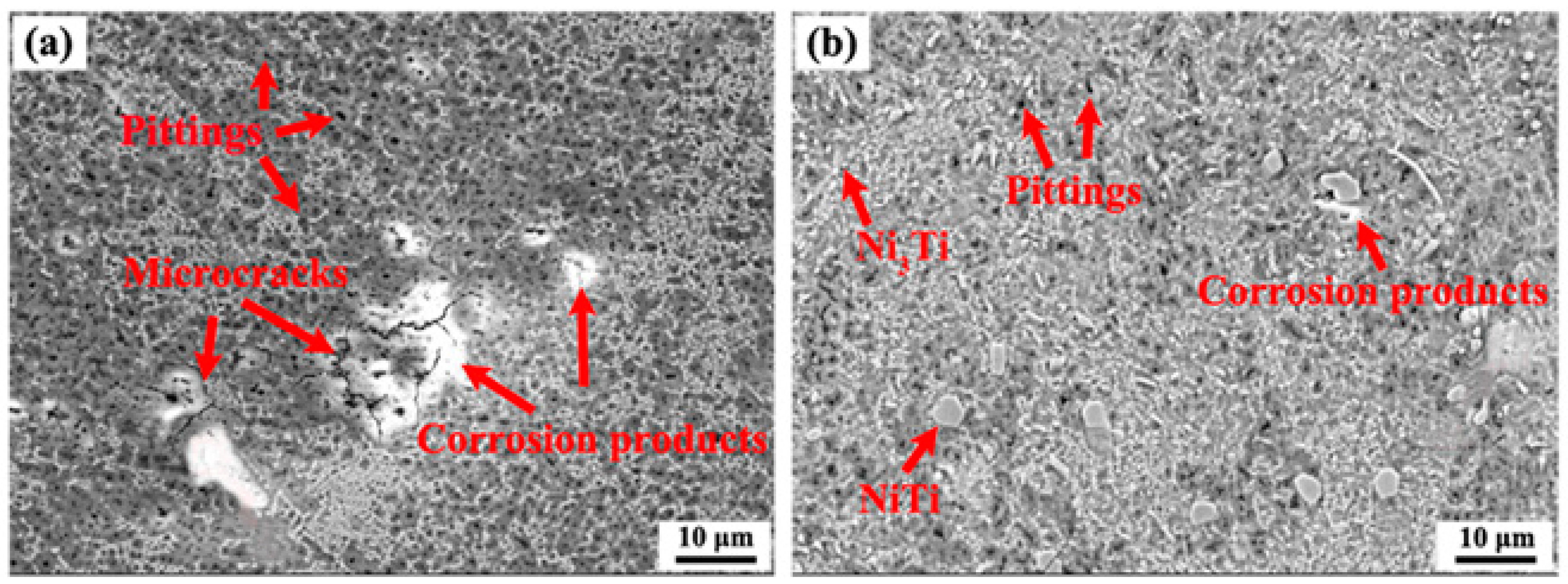 Metals 14 01360 g015