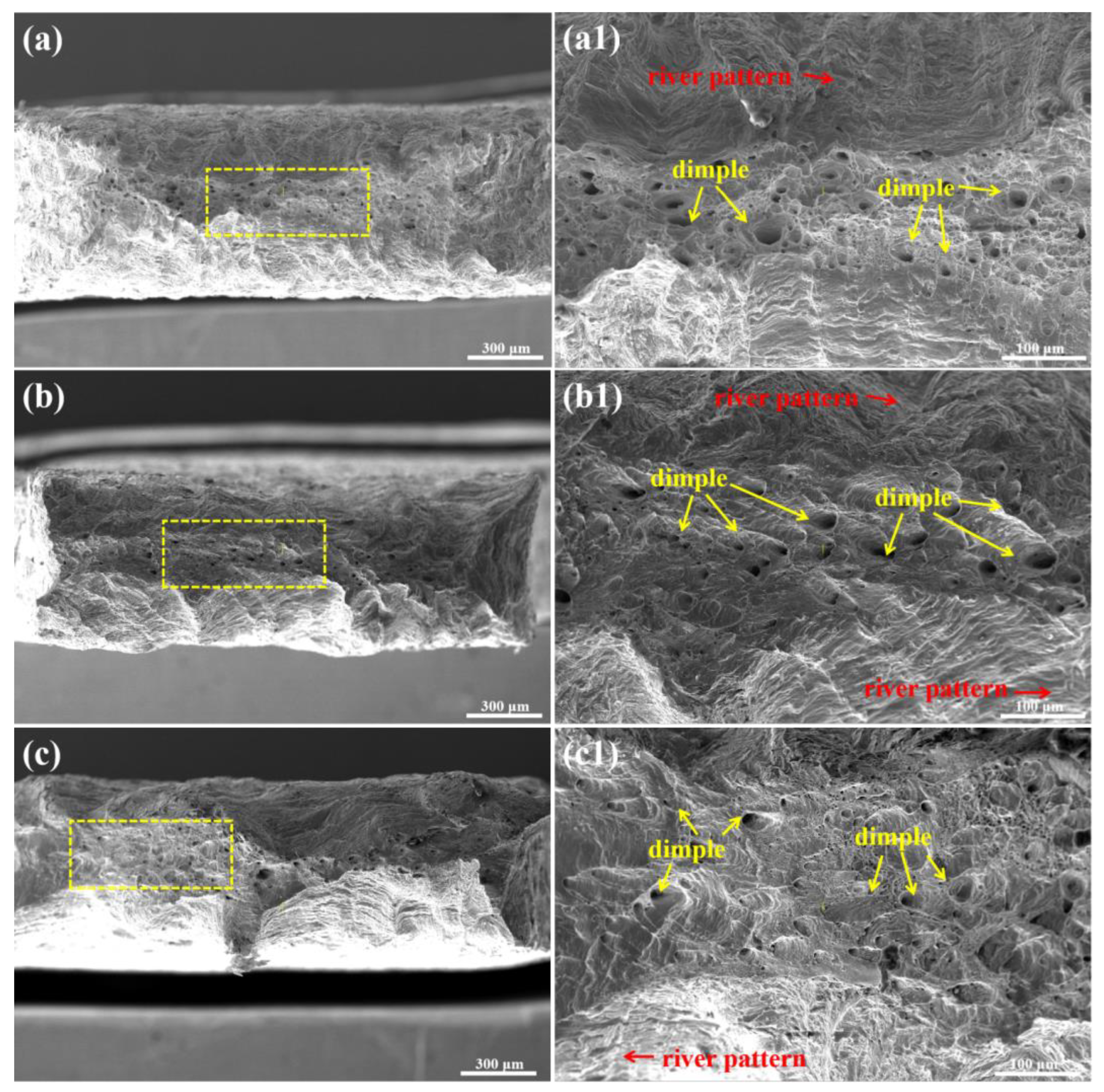 Metals 14 01367 g010