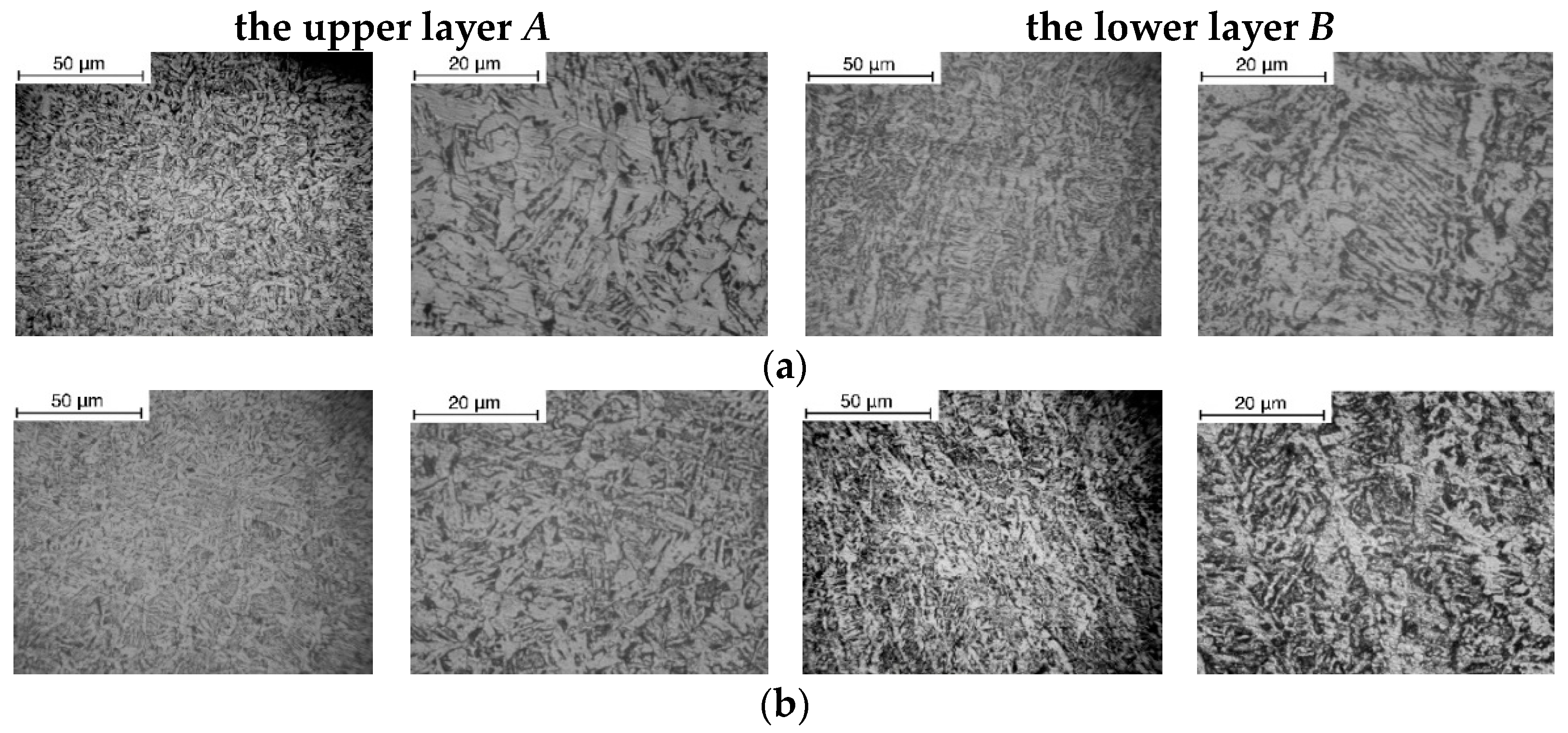 Metals 14 01376 g006 Metals 14 01376 g006