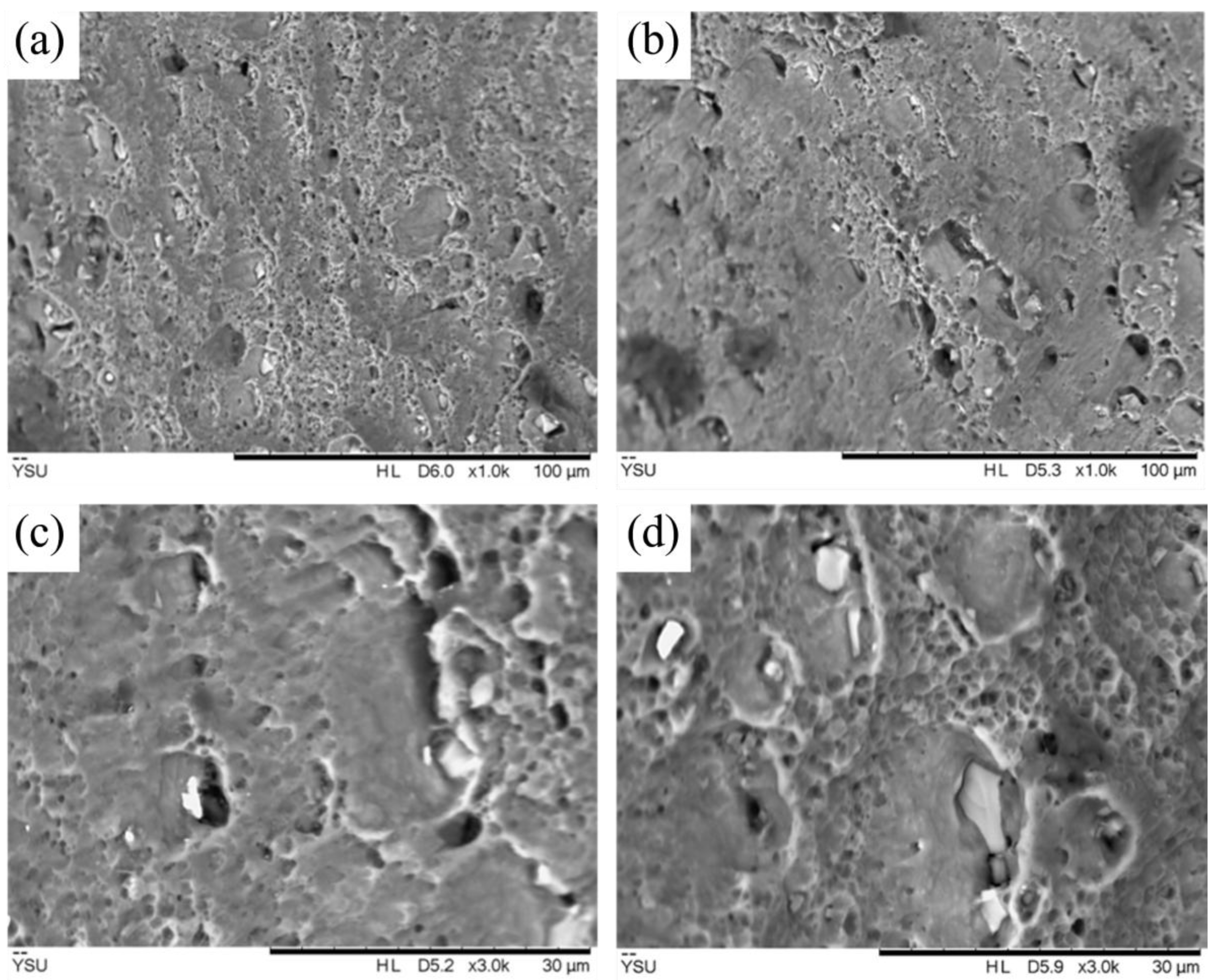 Metals 14 01382 g005