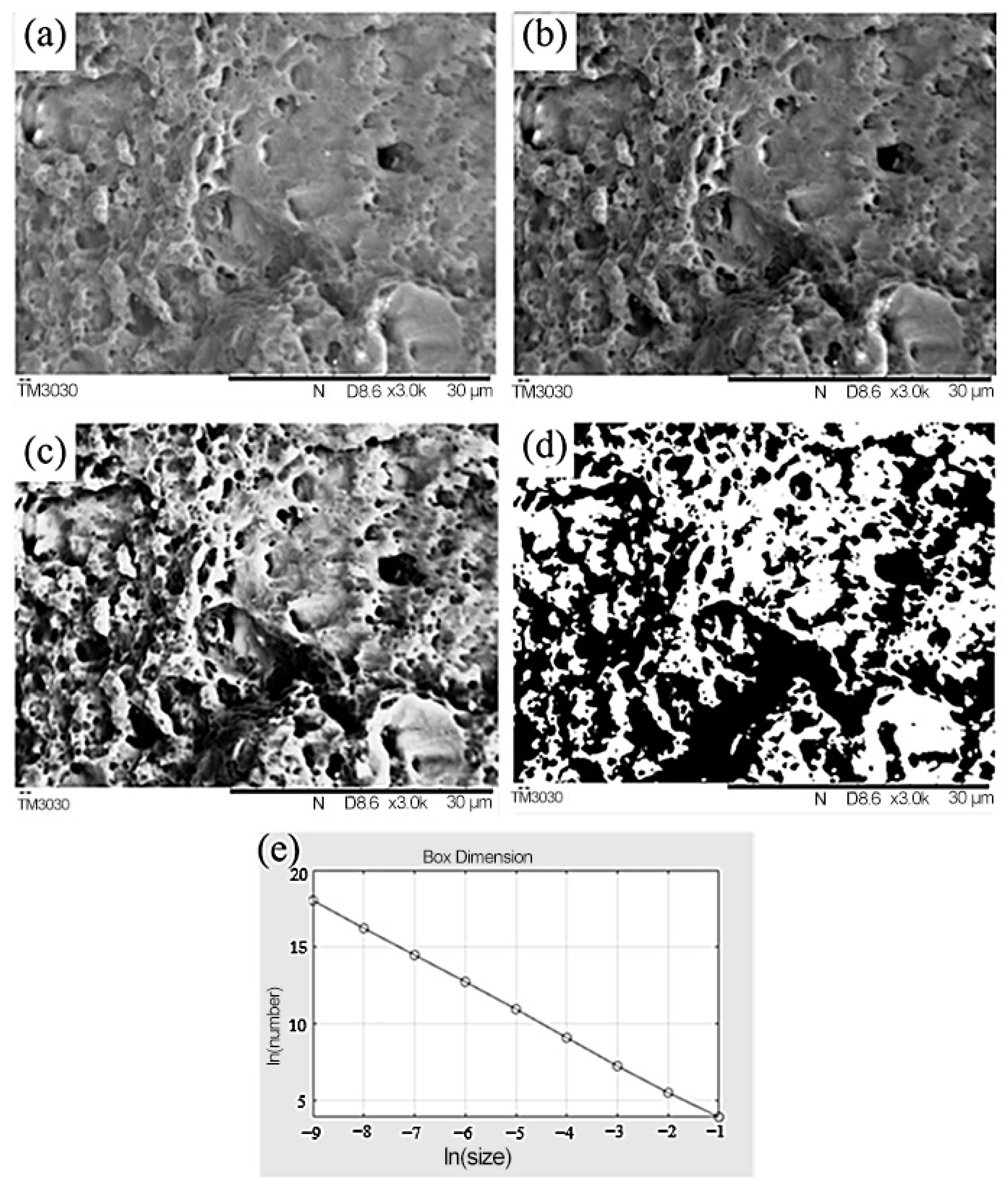 Metals 14 01382 g007
