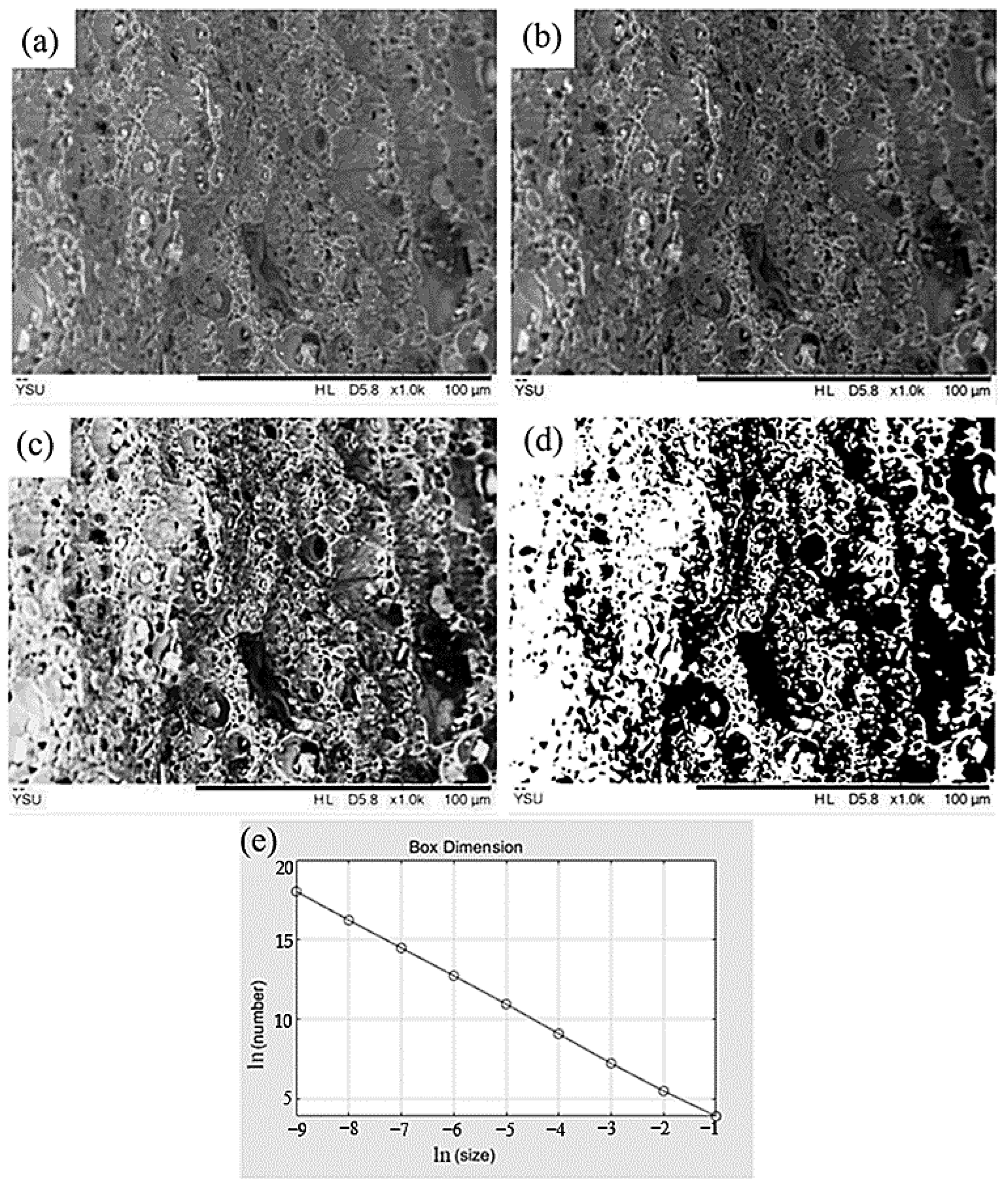 Metals 14 01382 g008