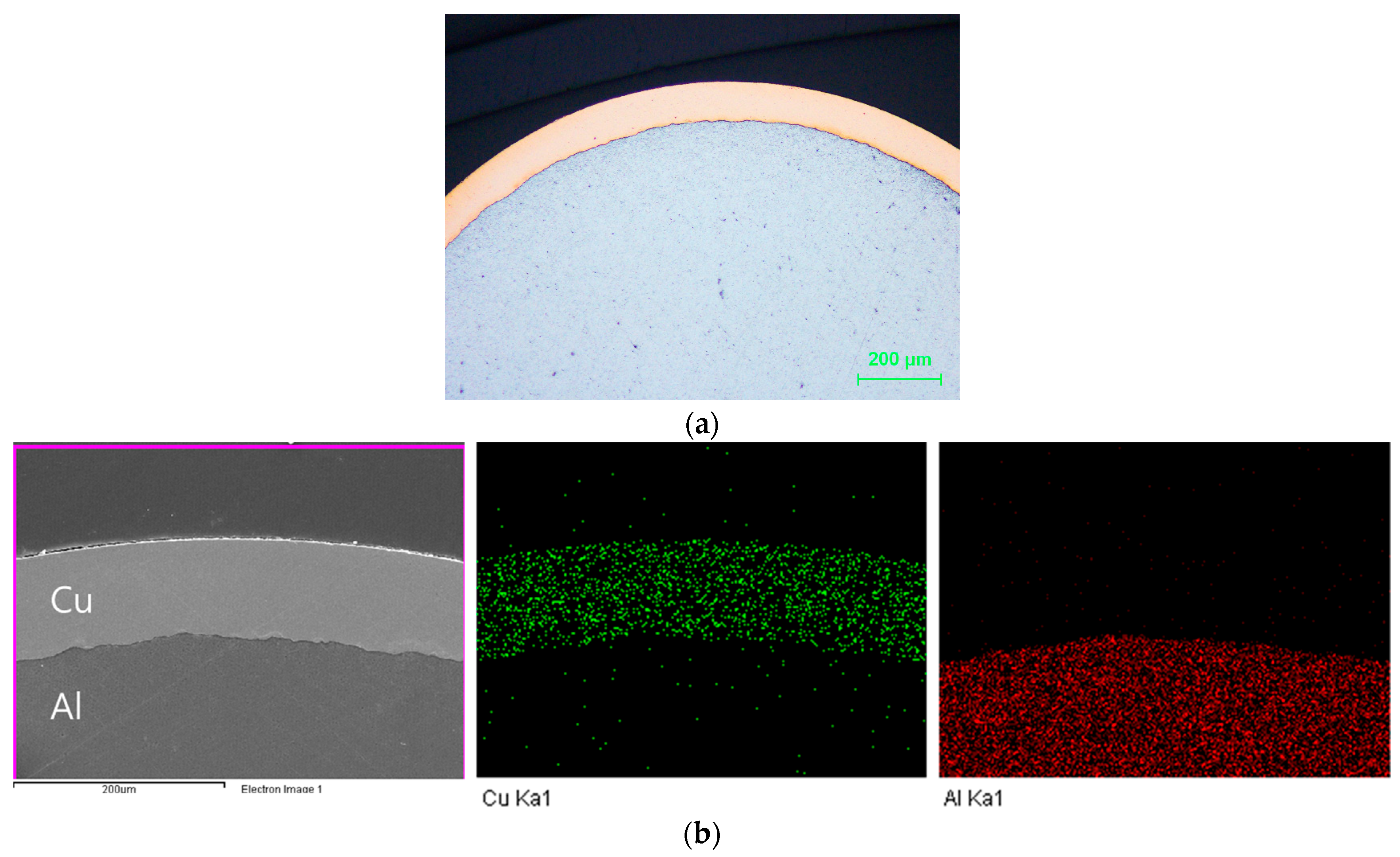 Metals 14 01386 g004