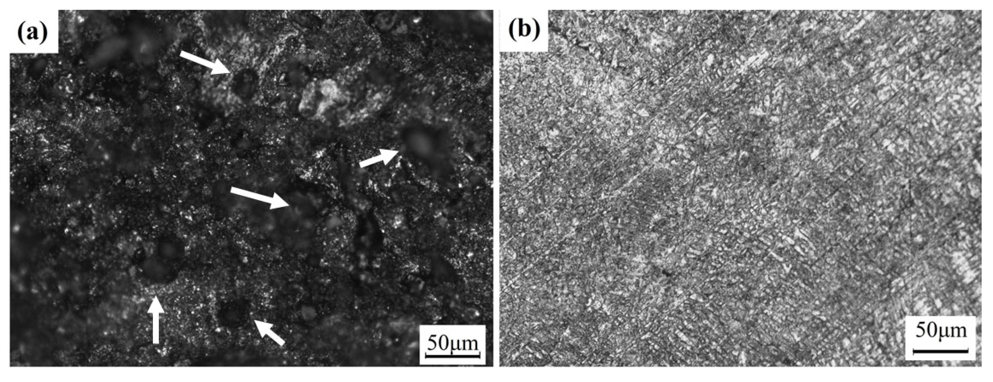 Metals 14 01389 g005