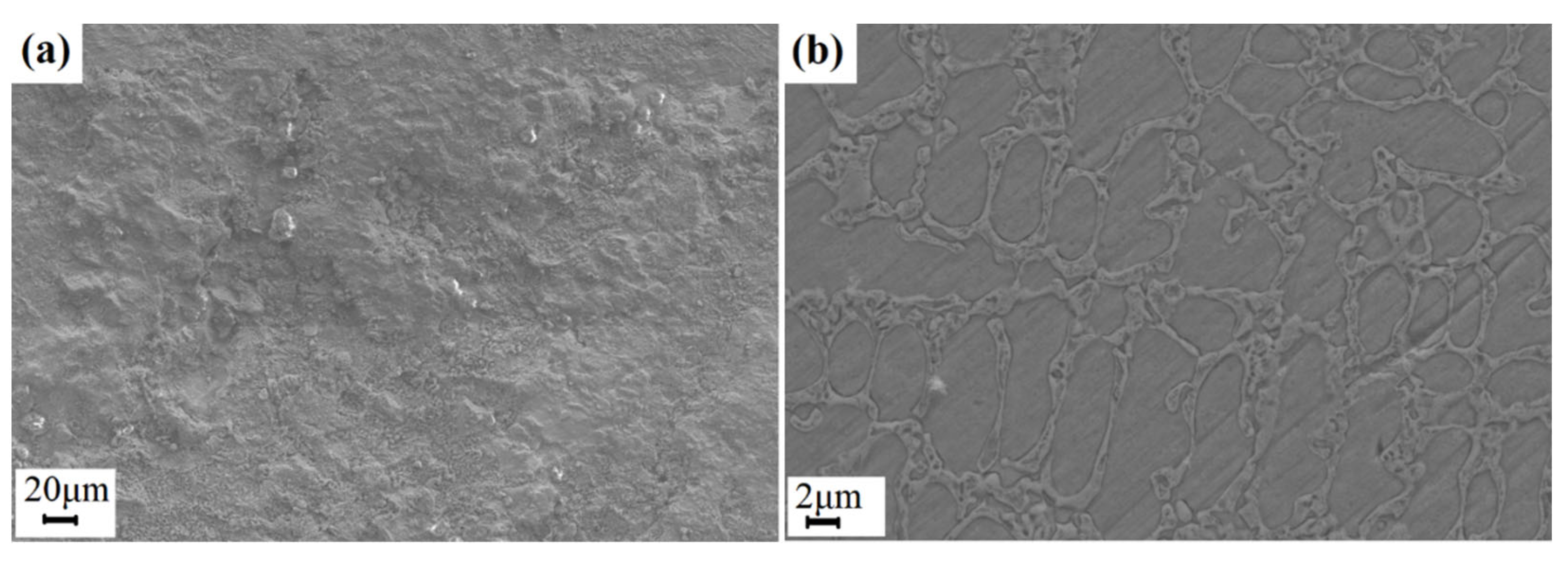 Metals 14 01389 g006