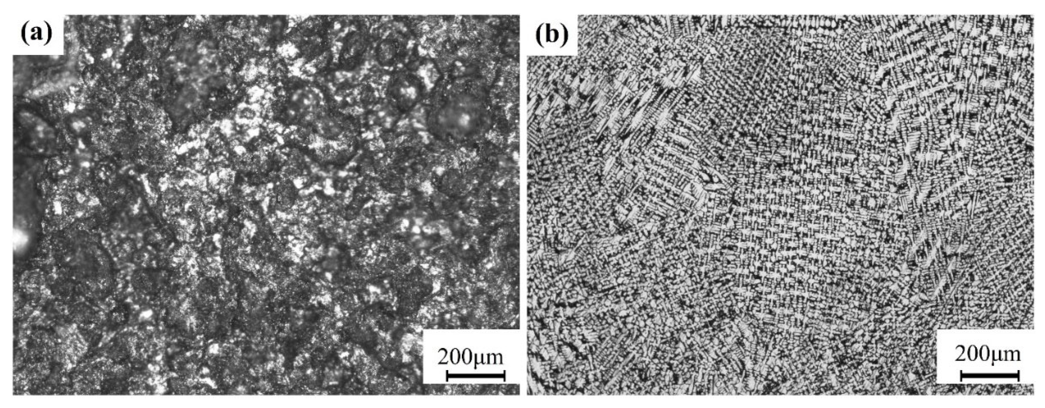 Metals 14 01389 g007