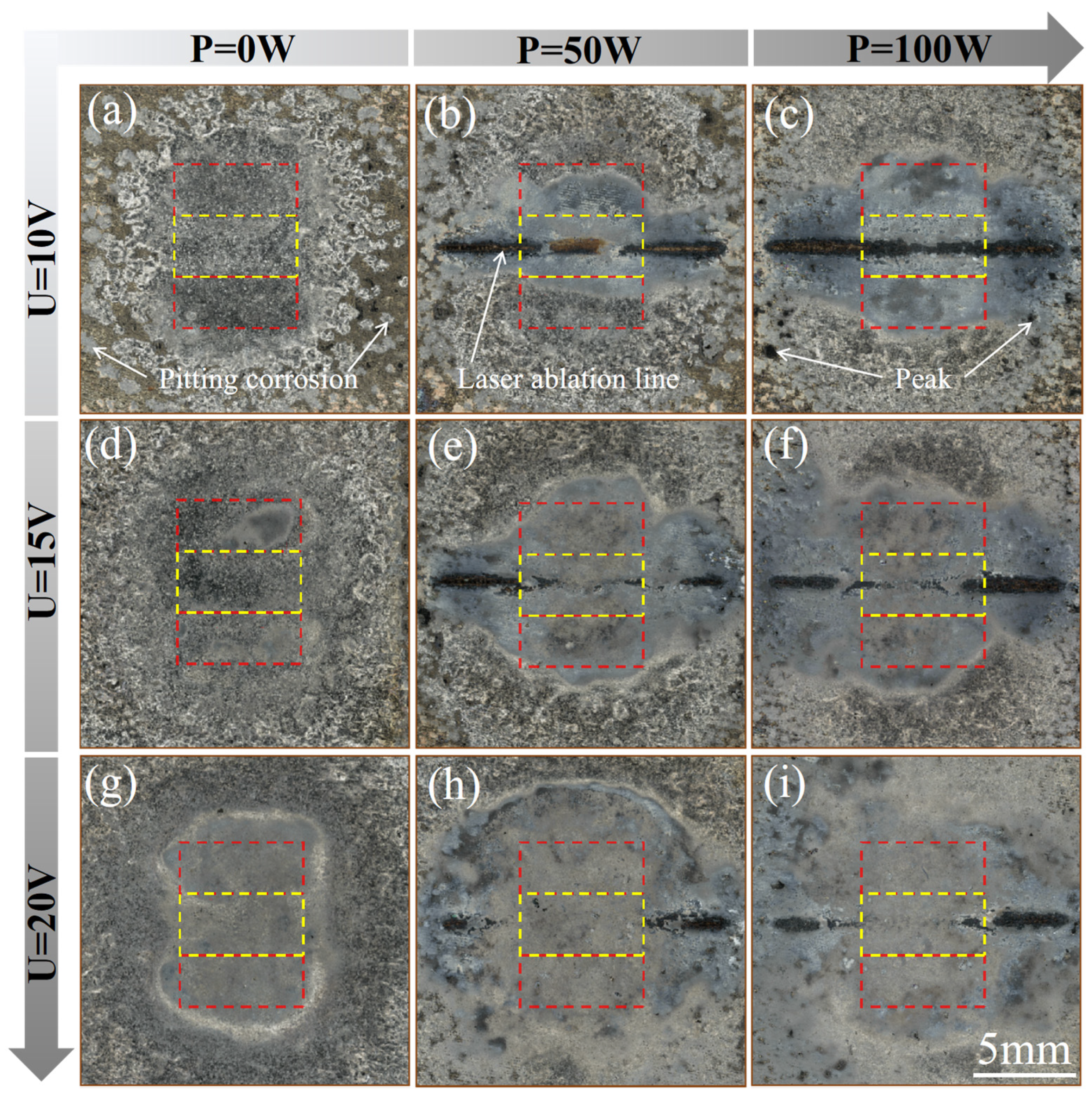 Metals 14 01390 g012