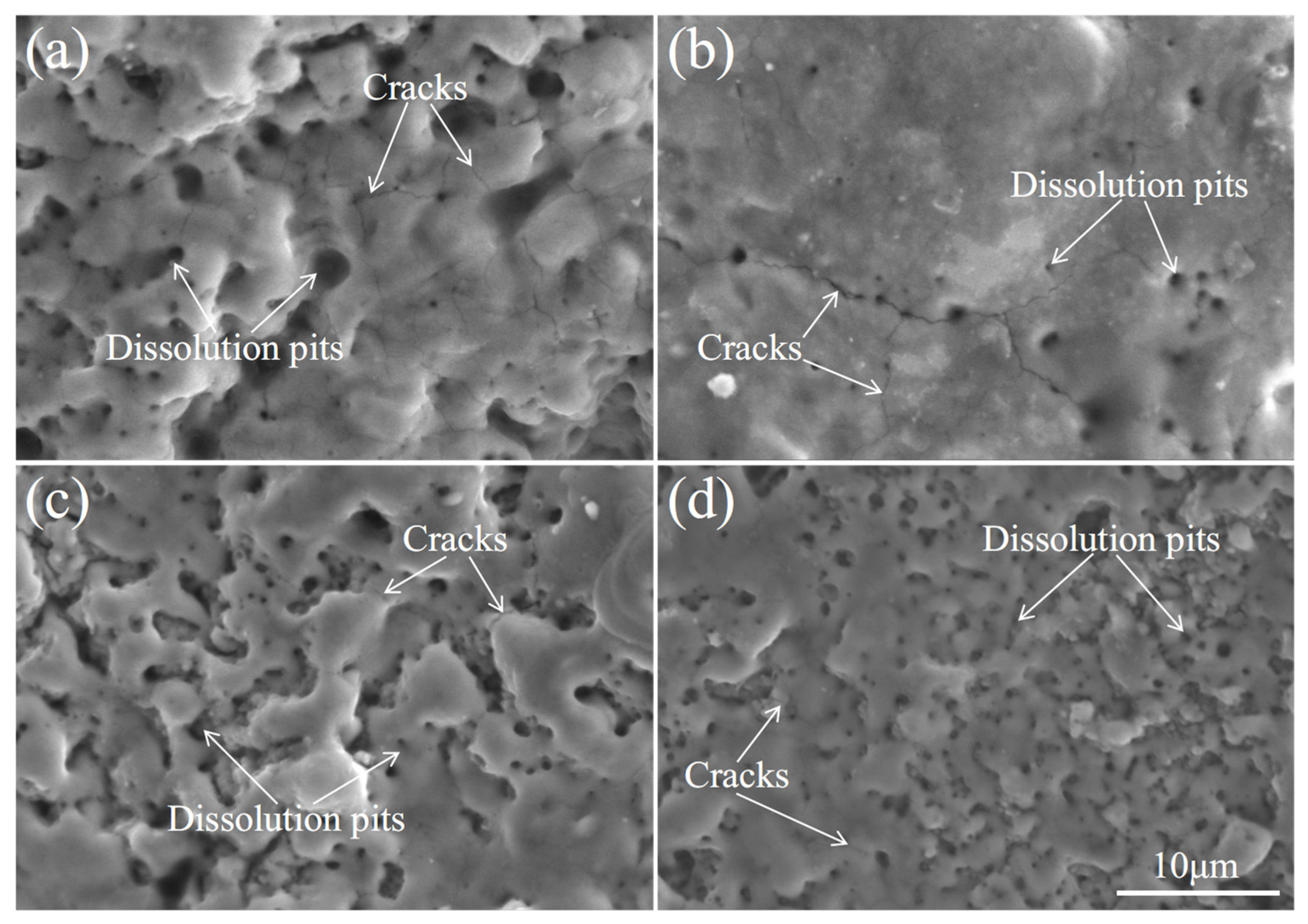 Metals 14 01390 g016