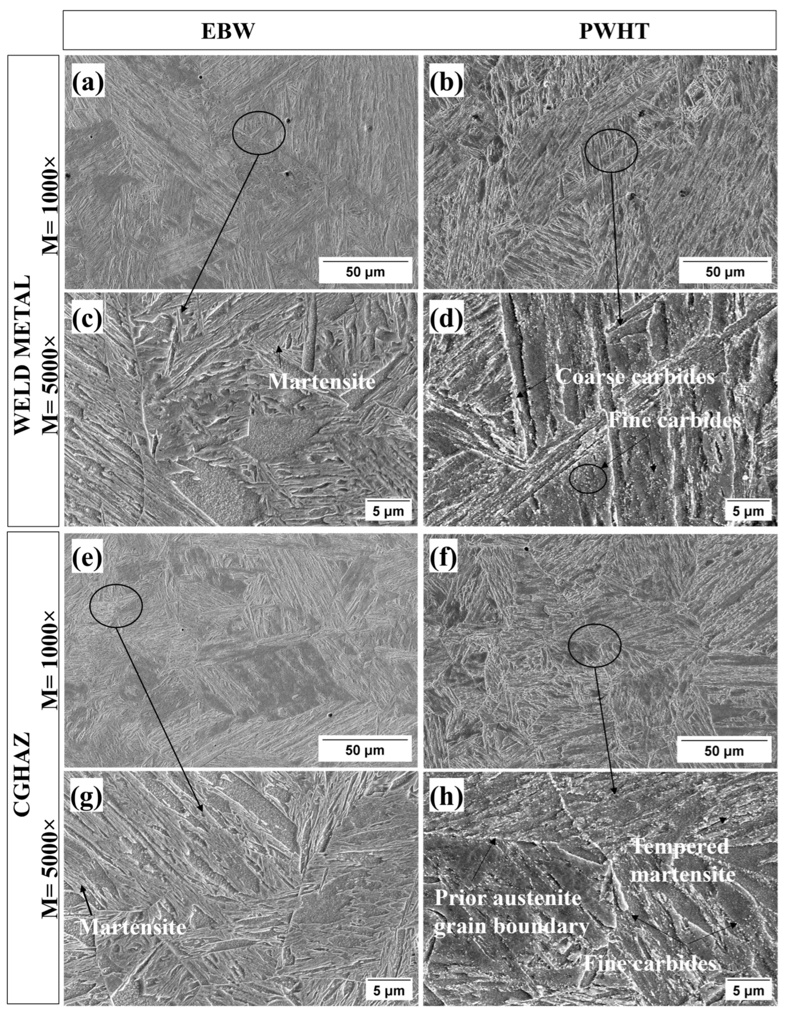 Metals 14 01393 g008