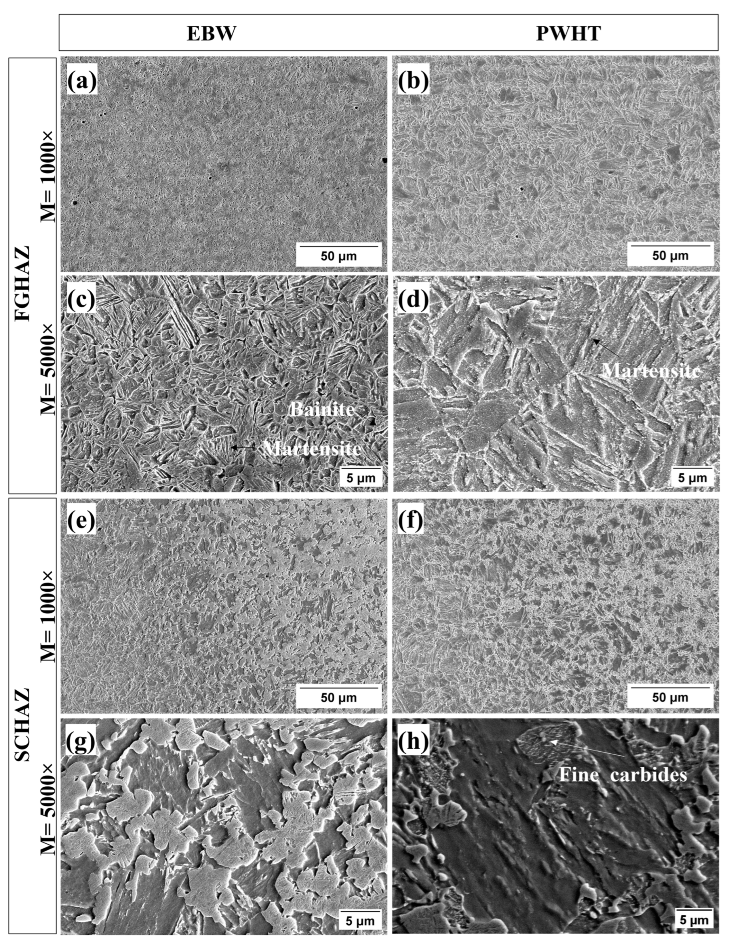 Metals 14 01393 g011