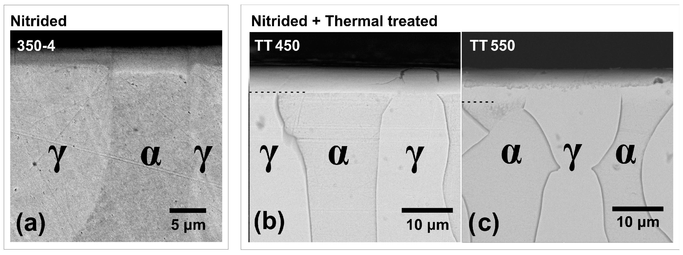 Metals 14 01396 g002