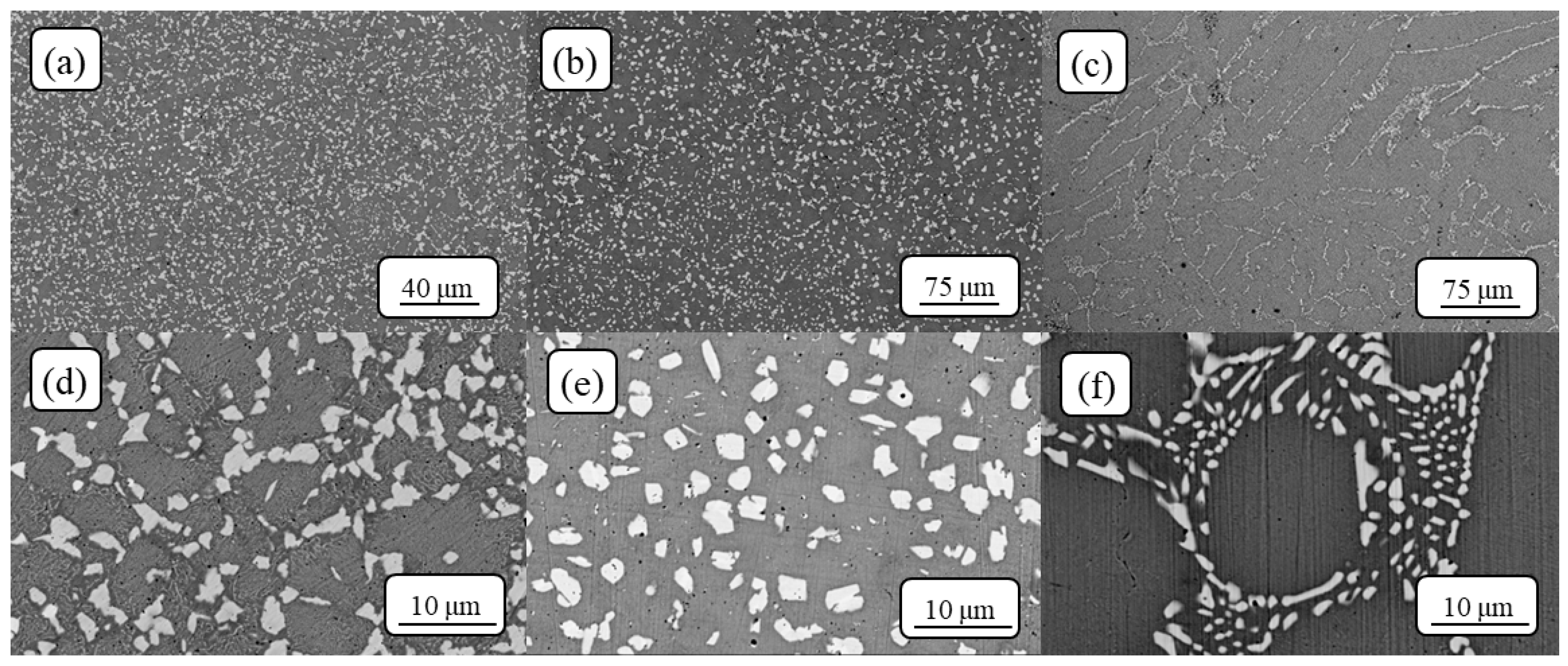 Metals 14 01400 g004