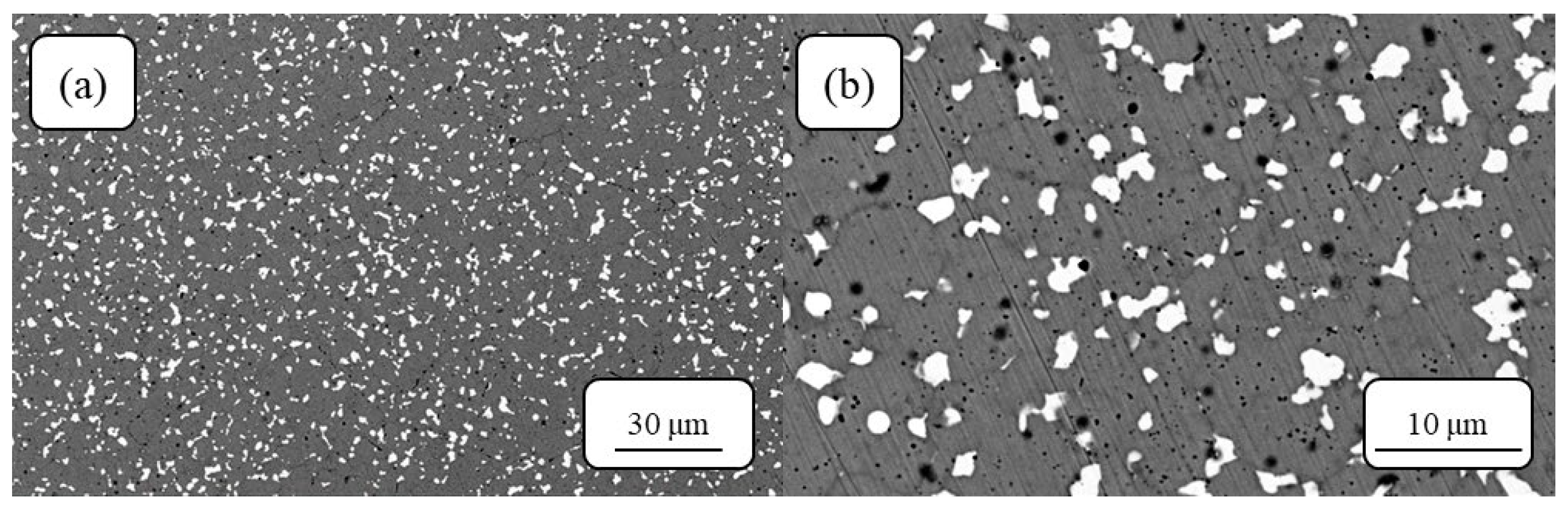 Metals 14 01400 g006