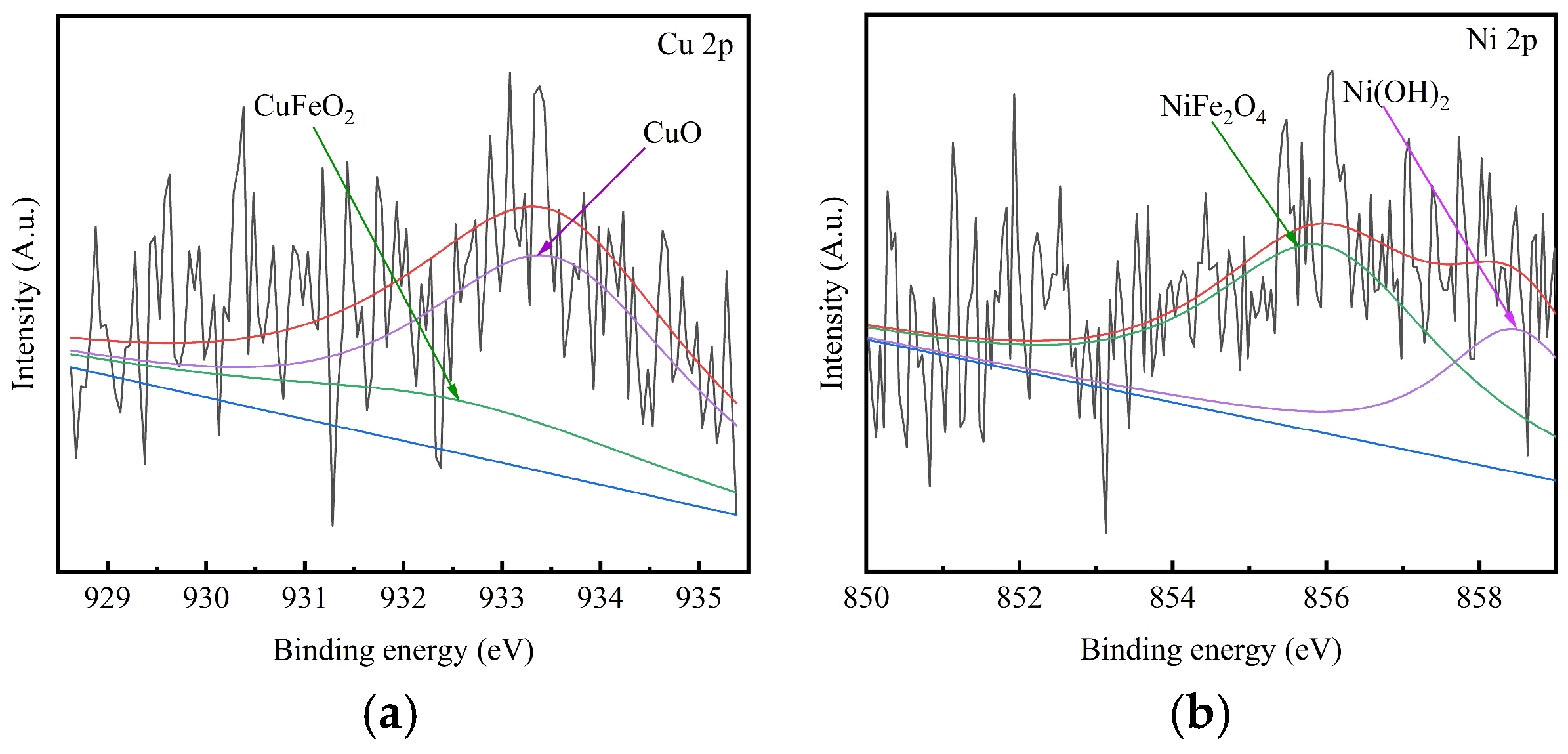 Metals 14 01401 g007