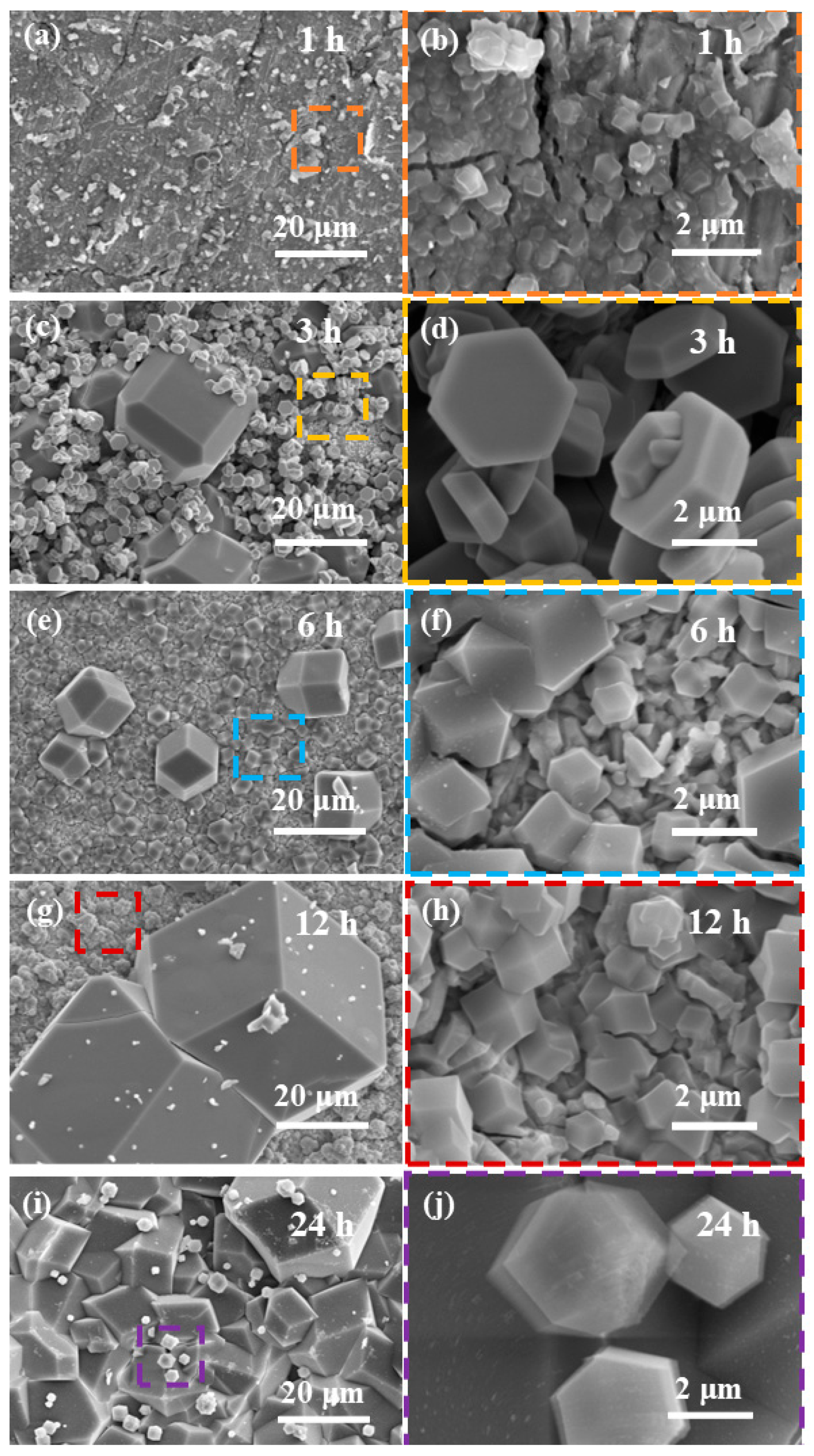 Metals 14 01403 g005