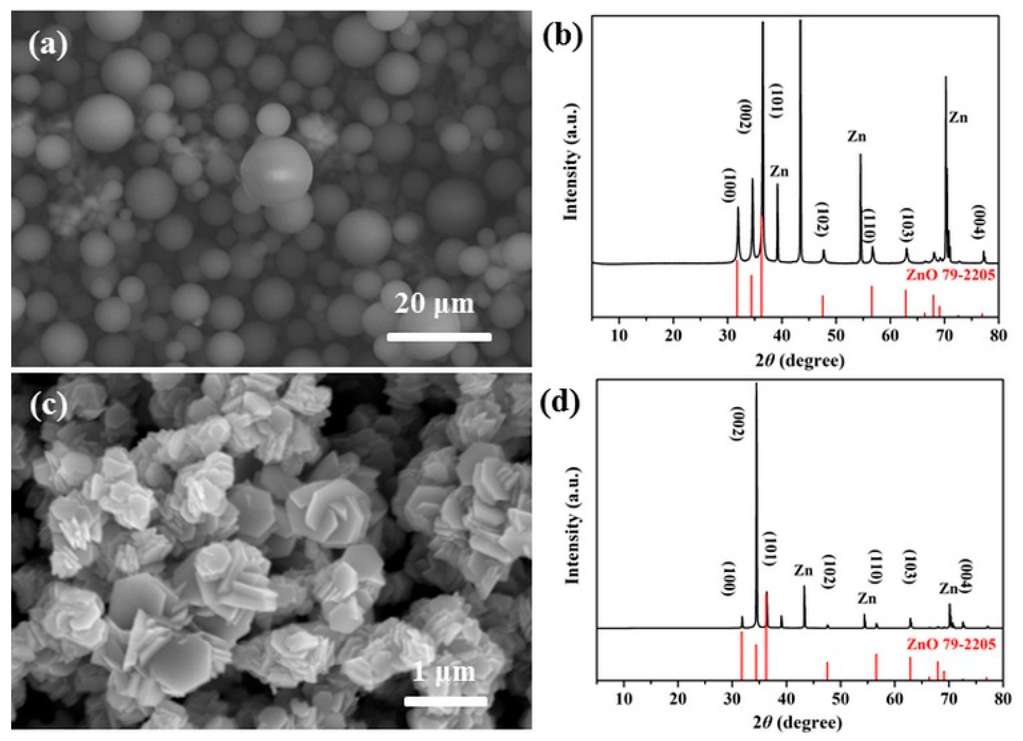 Metals 14 01403 g007