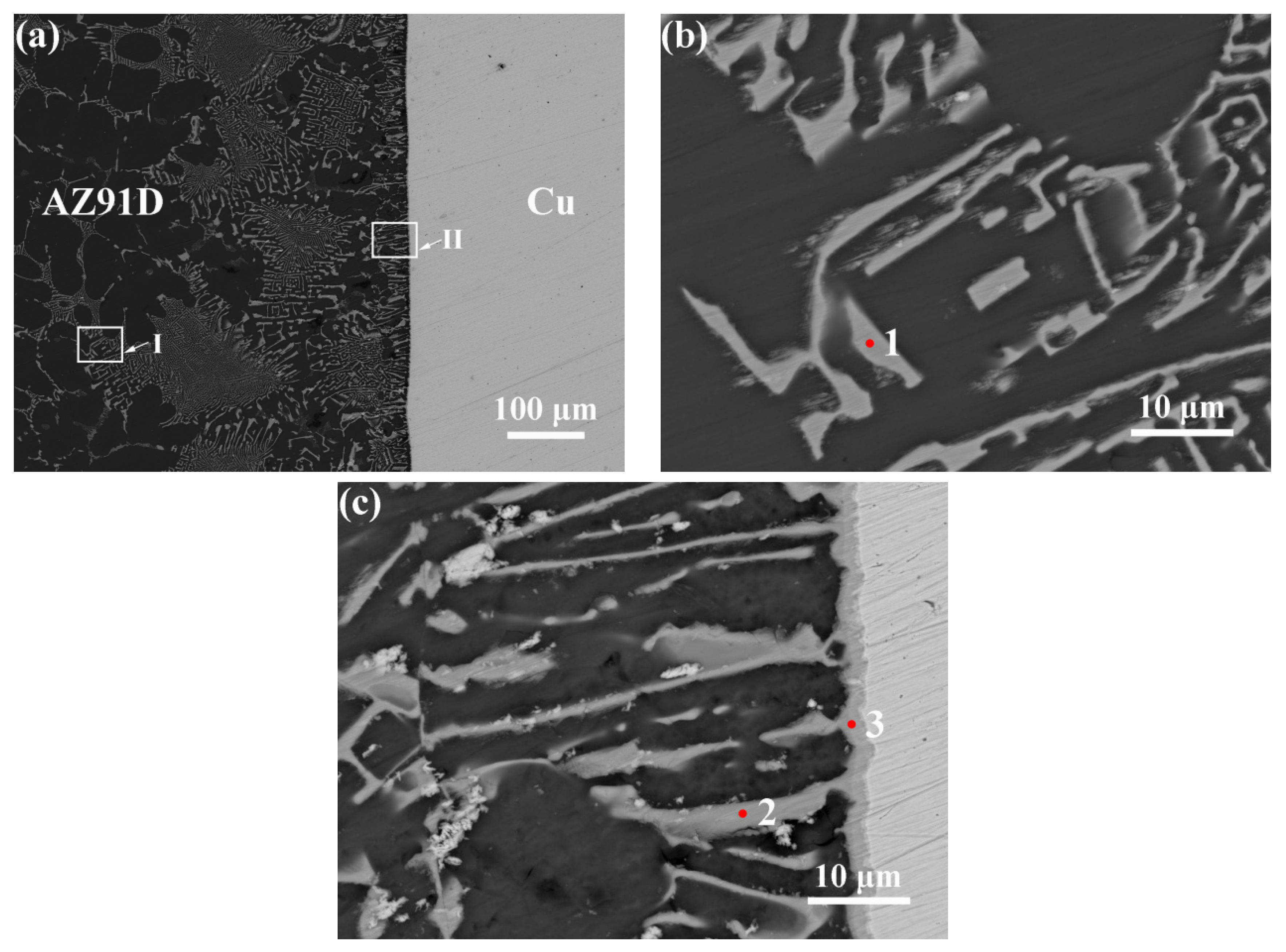 Metals 14 01404 g005