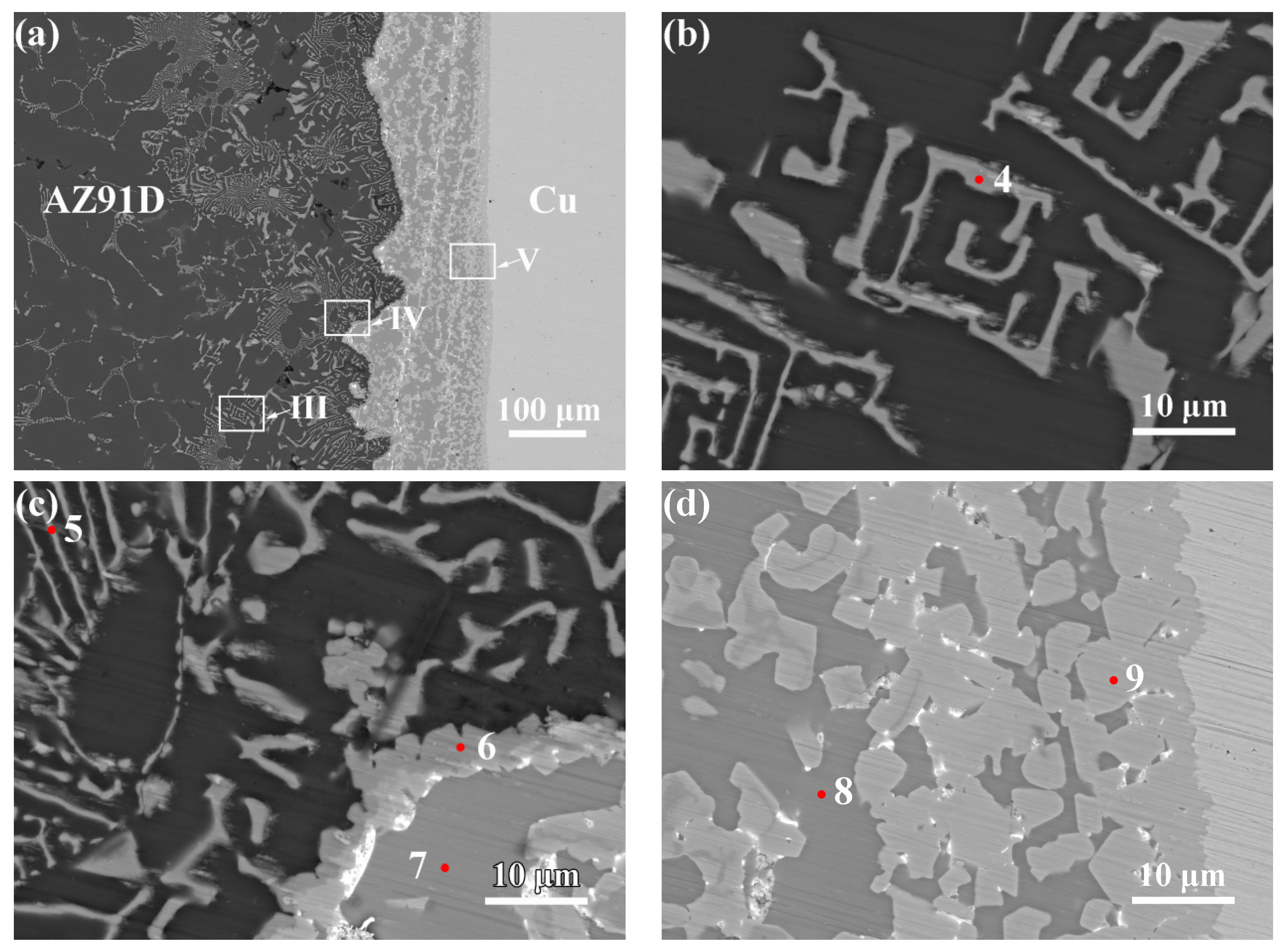 Metals 14 01404 g006