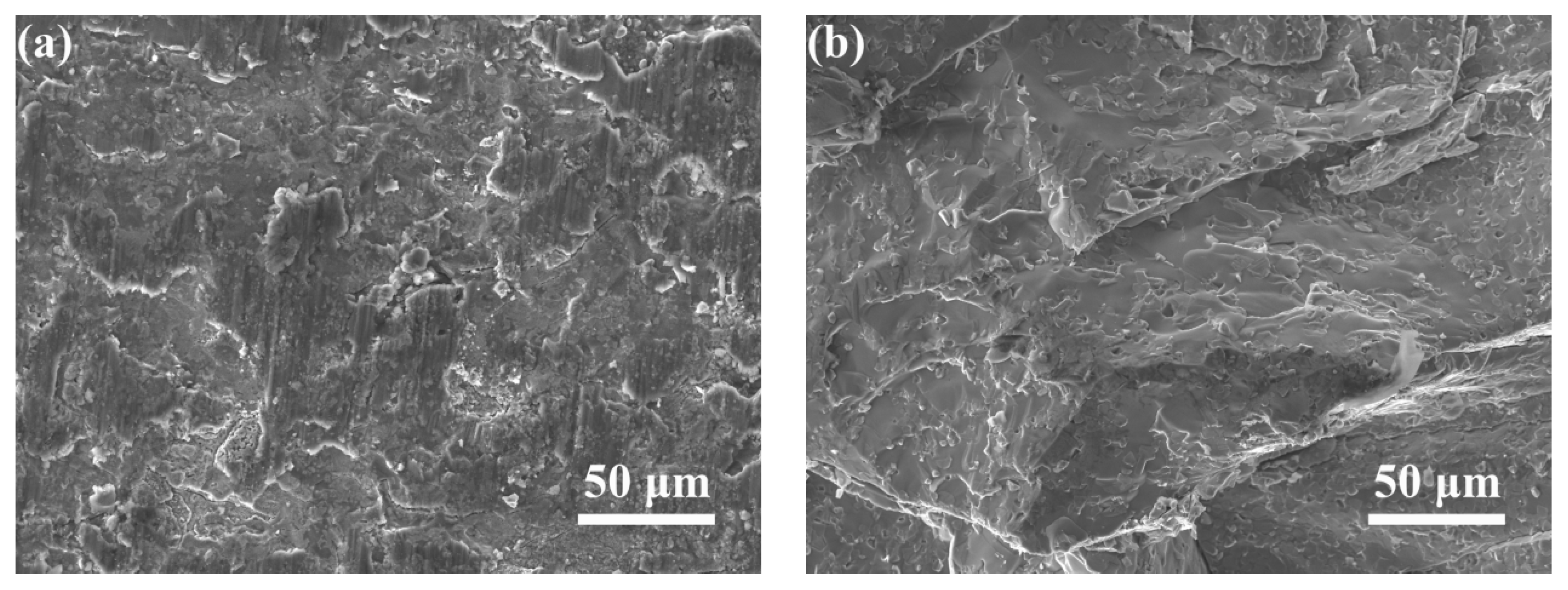 Metals 14 01404 g015