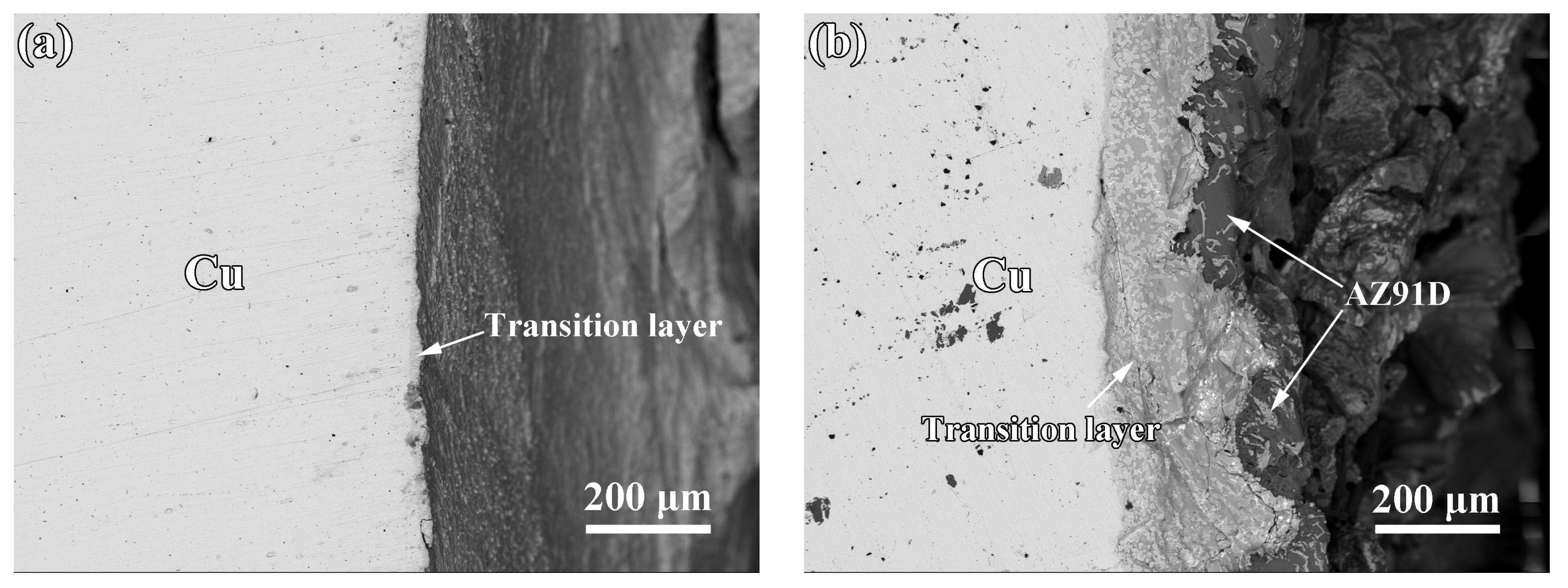 Metals 14 01404 g016