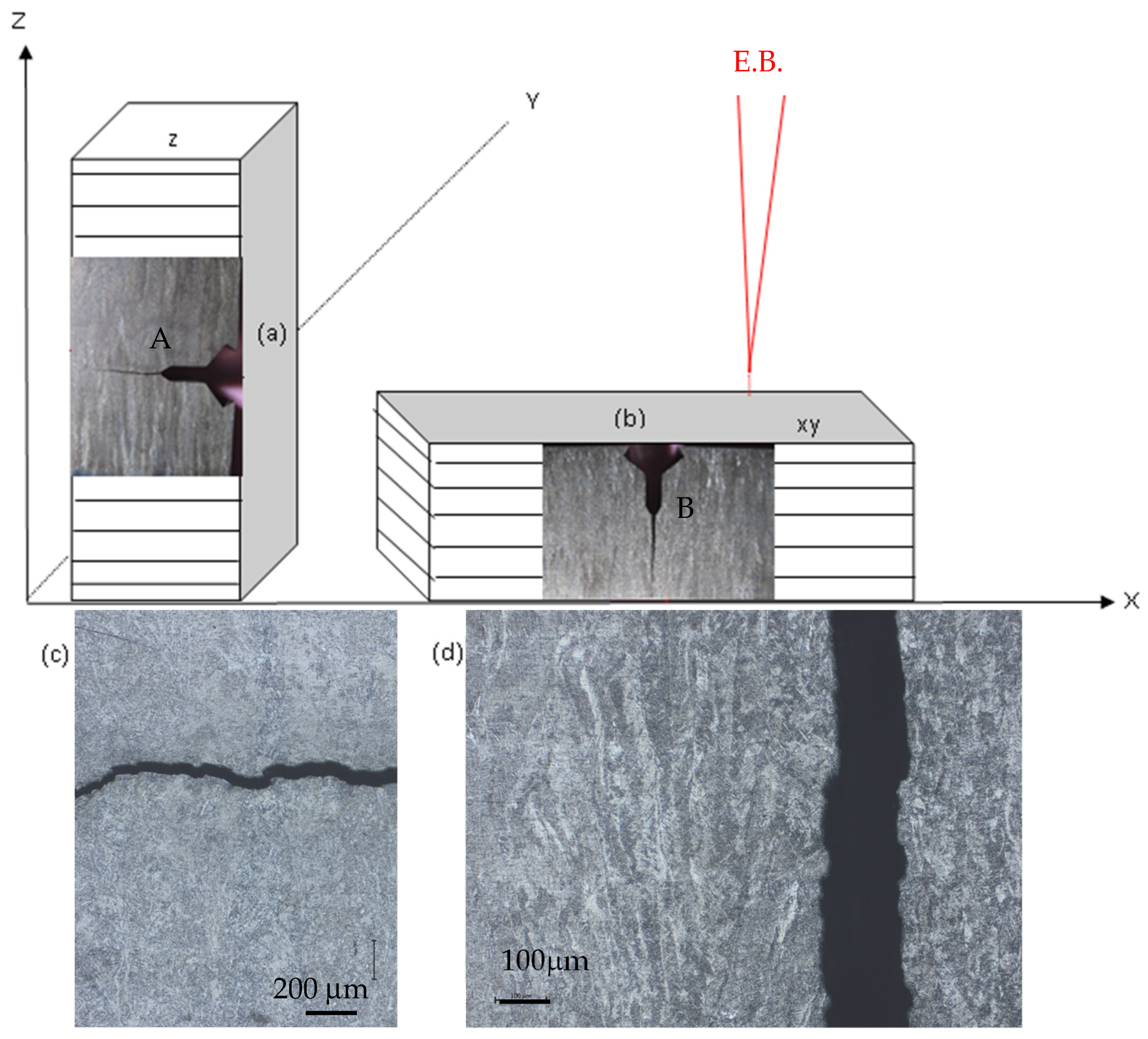 Metals 14 01405 g001