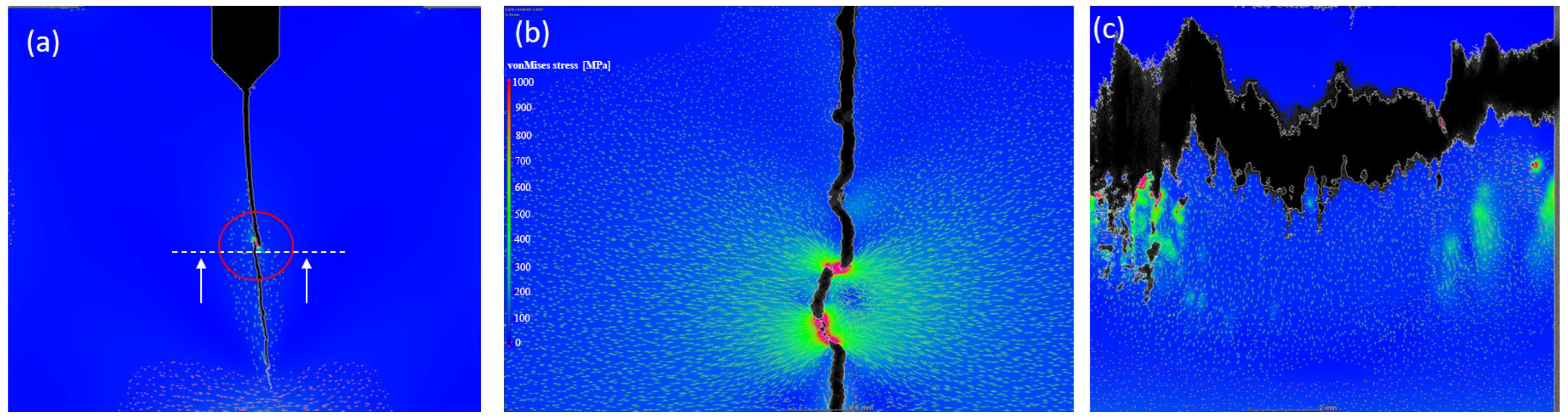 Metals 14 01405 g008