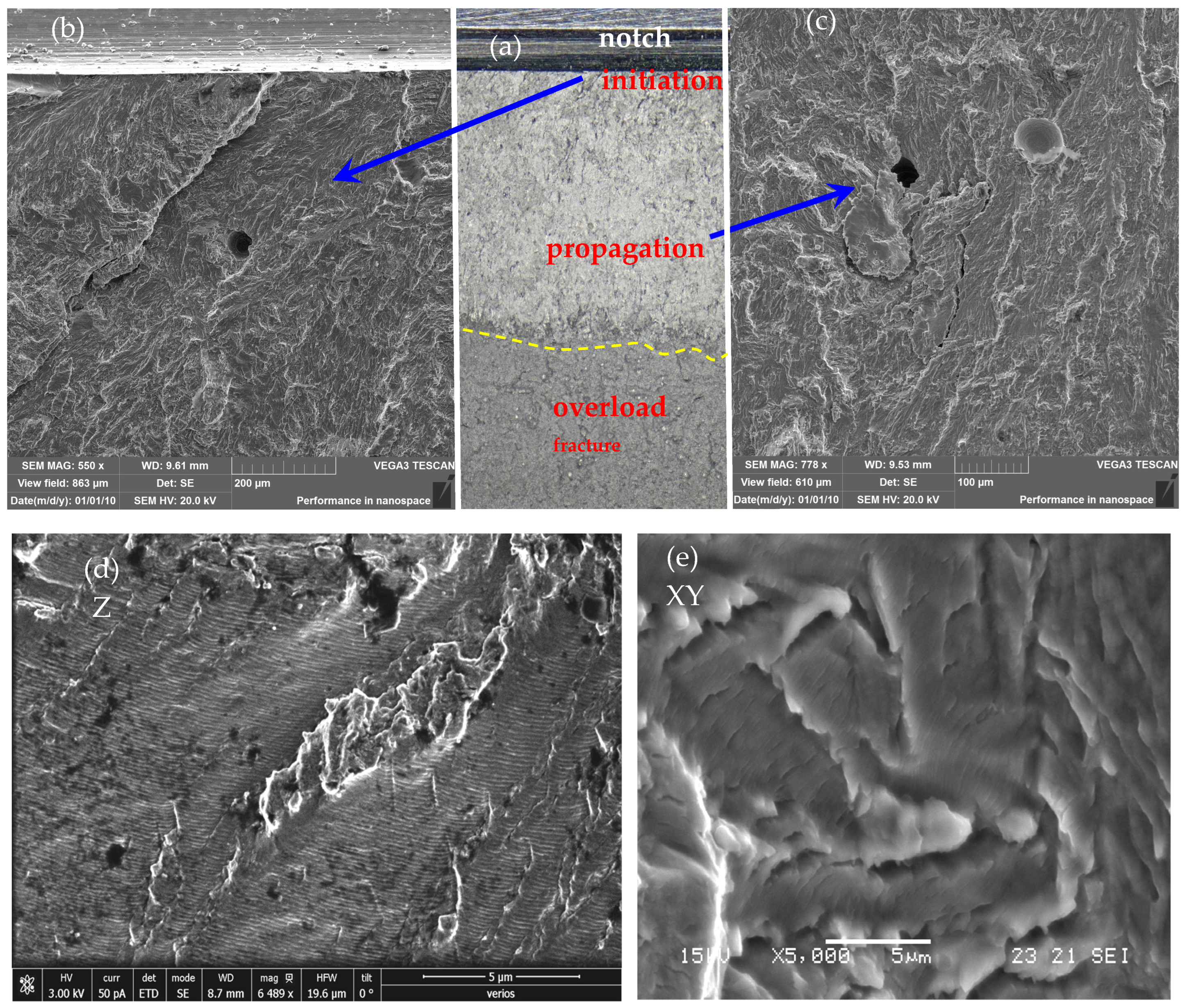 Metals 14 01405 g010
