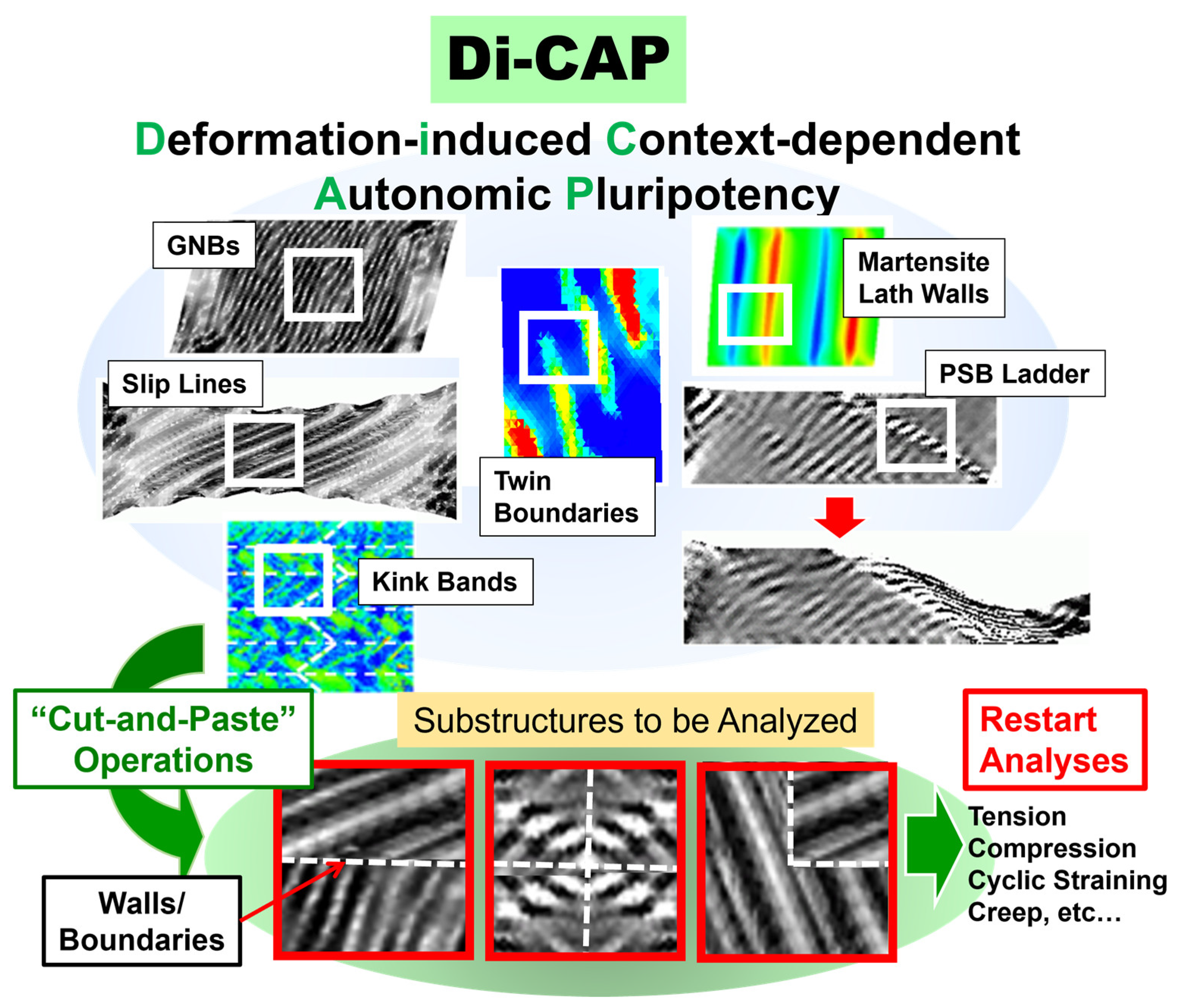Metals 14 01406 g0a2 Metals 14 01406 g0a2