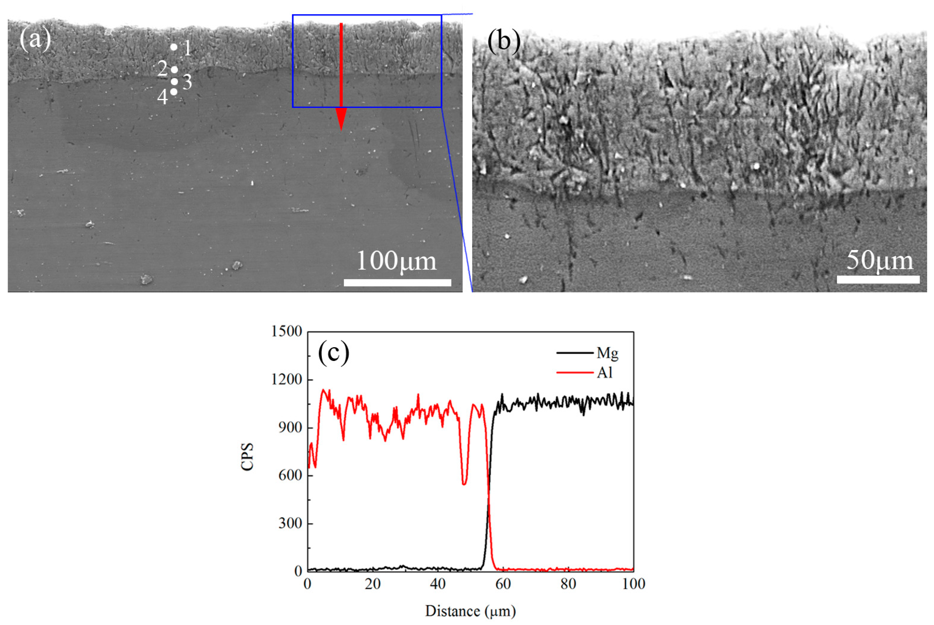 Metals 14 01407 g002