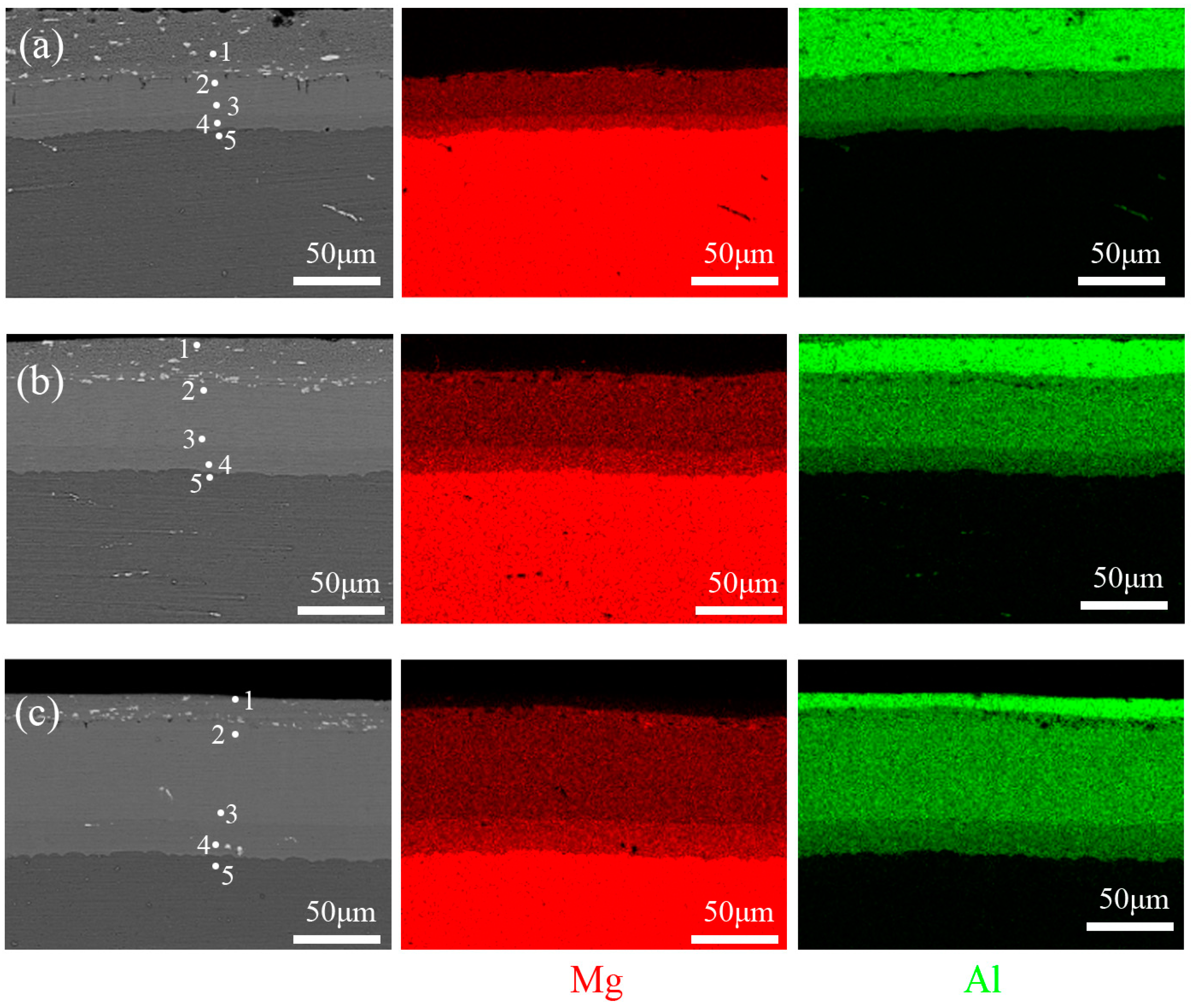 Metals 14 01407 g003