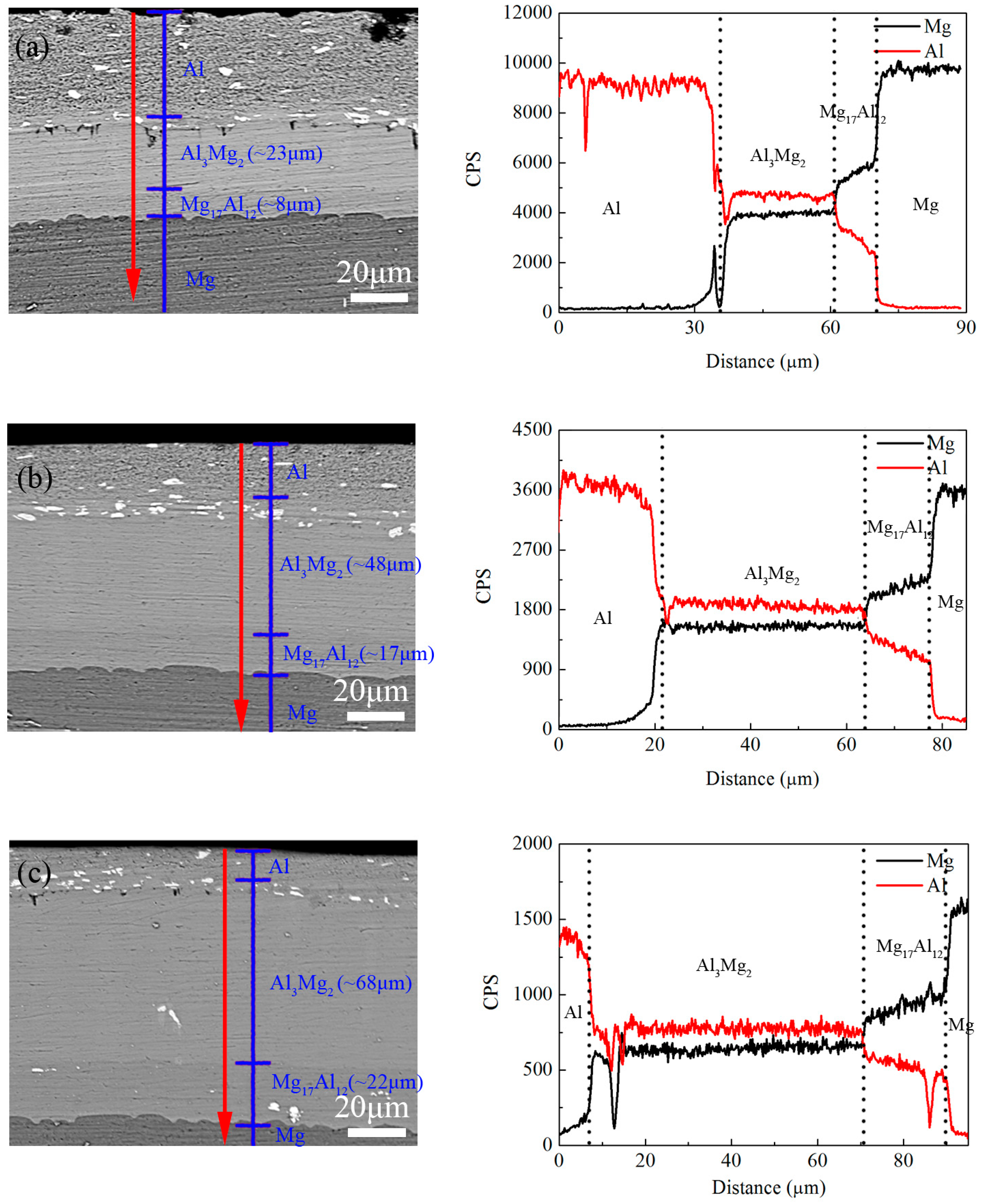 Metals 14 01407 g004