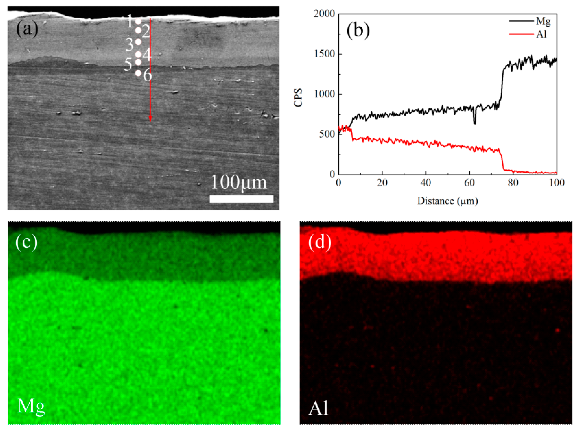 Metals 14 01407 g006