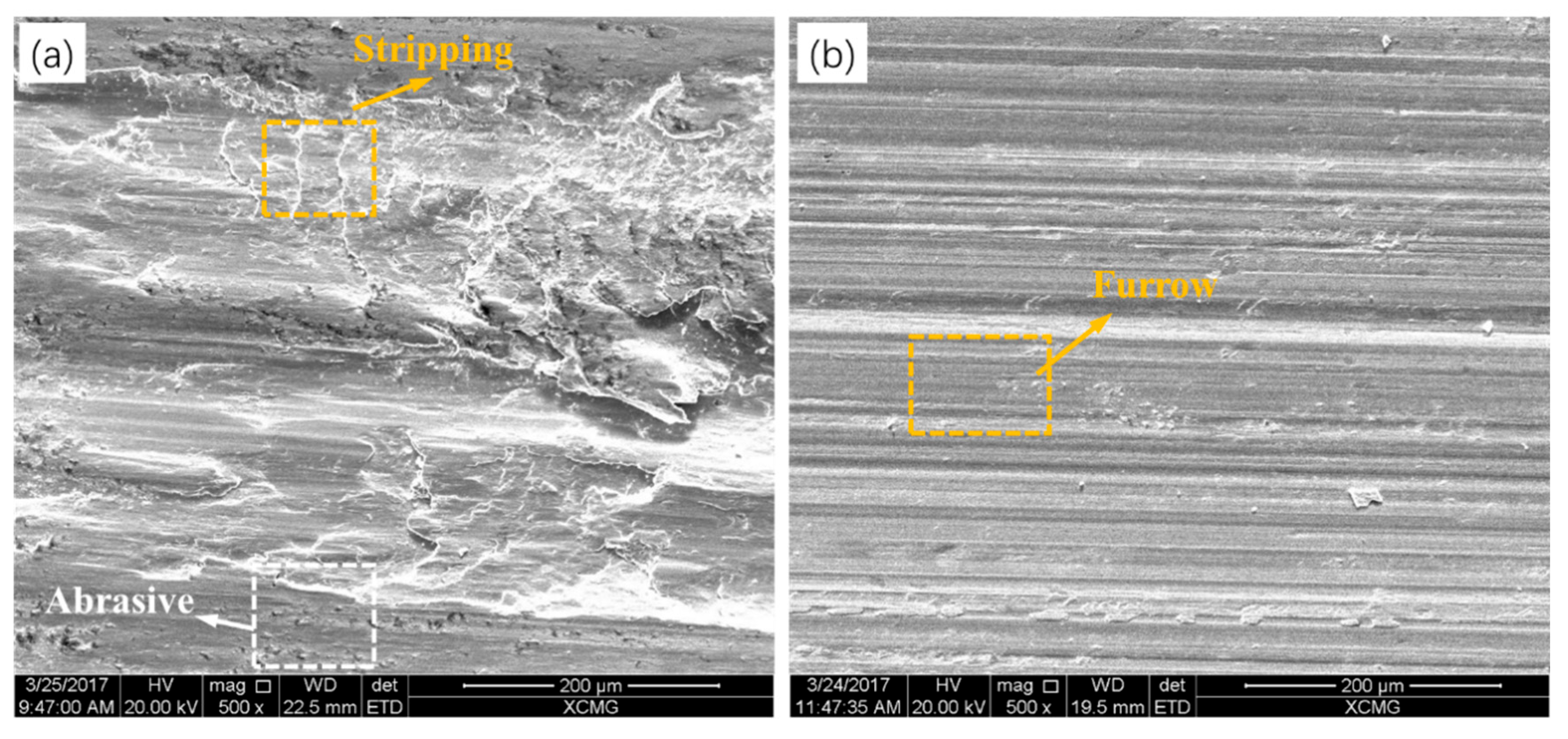 Metals 14 01409 g007