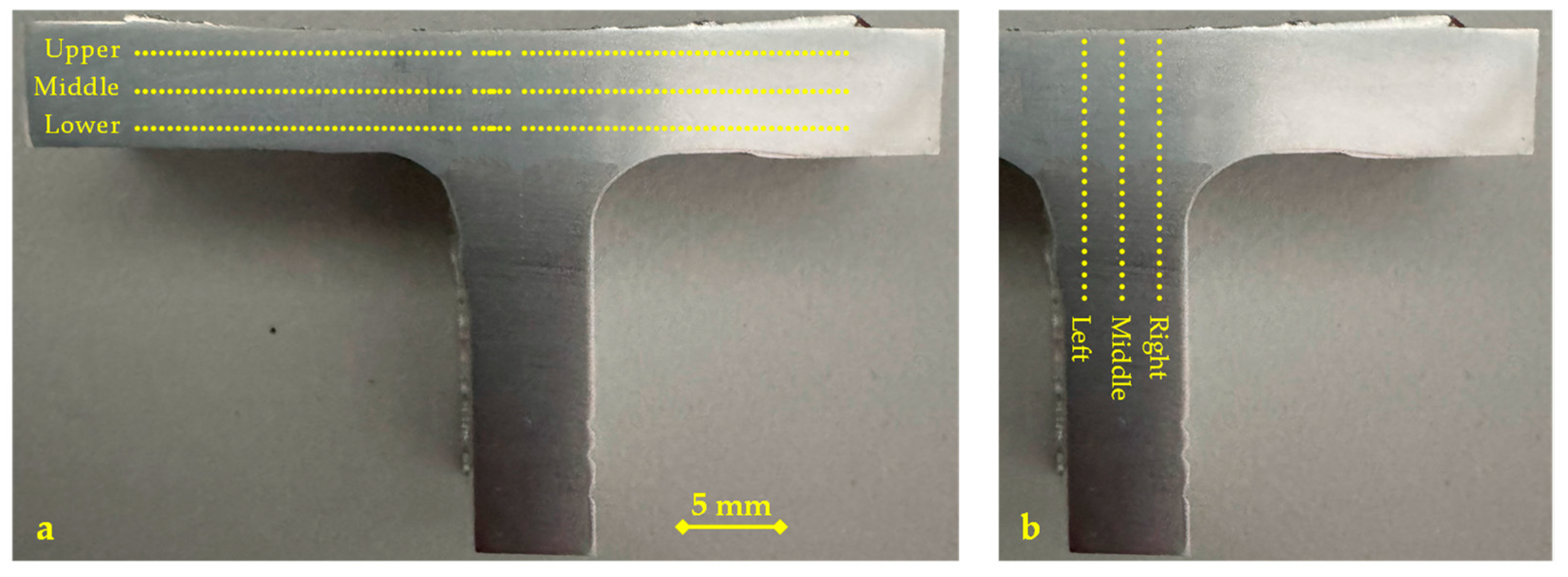 Metals 14 01410 g005