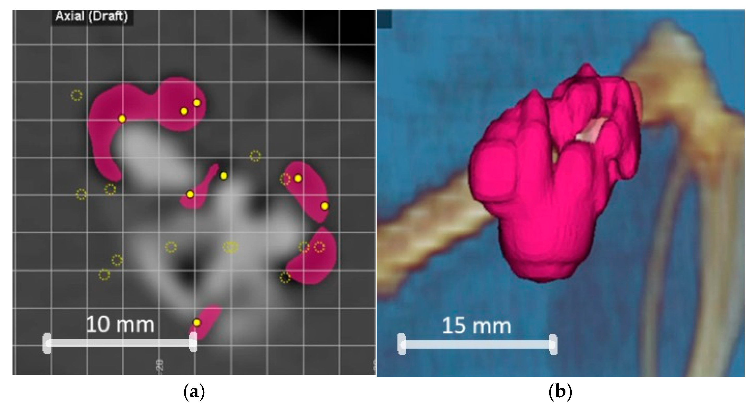 Metals 14 01411 g005