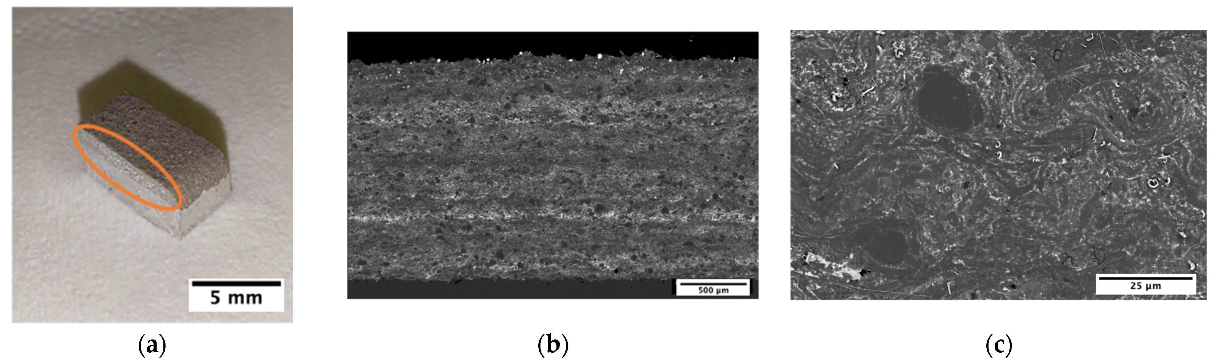 Metals 14 01414 g009 Metals 14 01414 g009