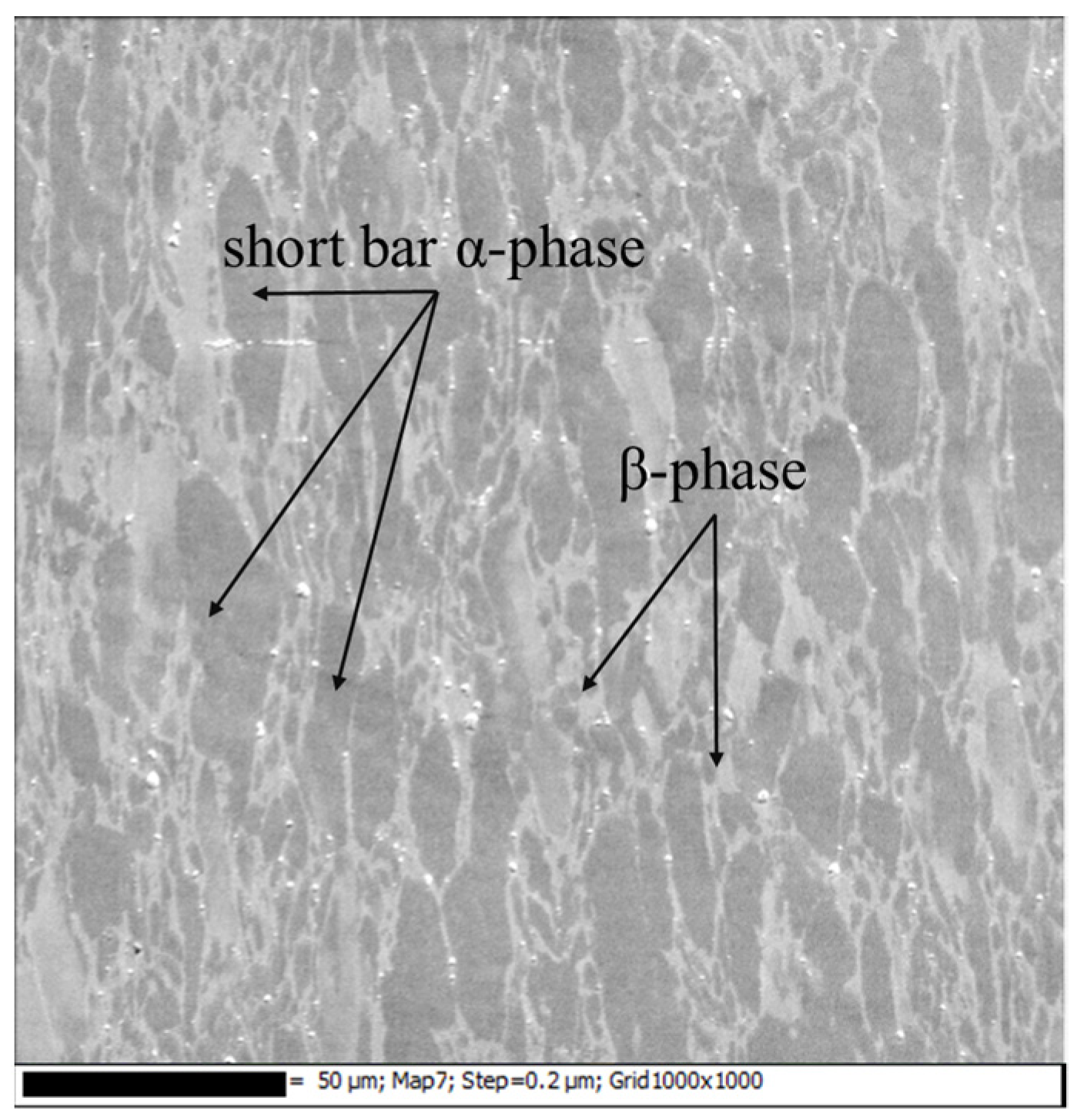 Metals 14 01418 g003