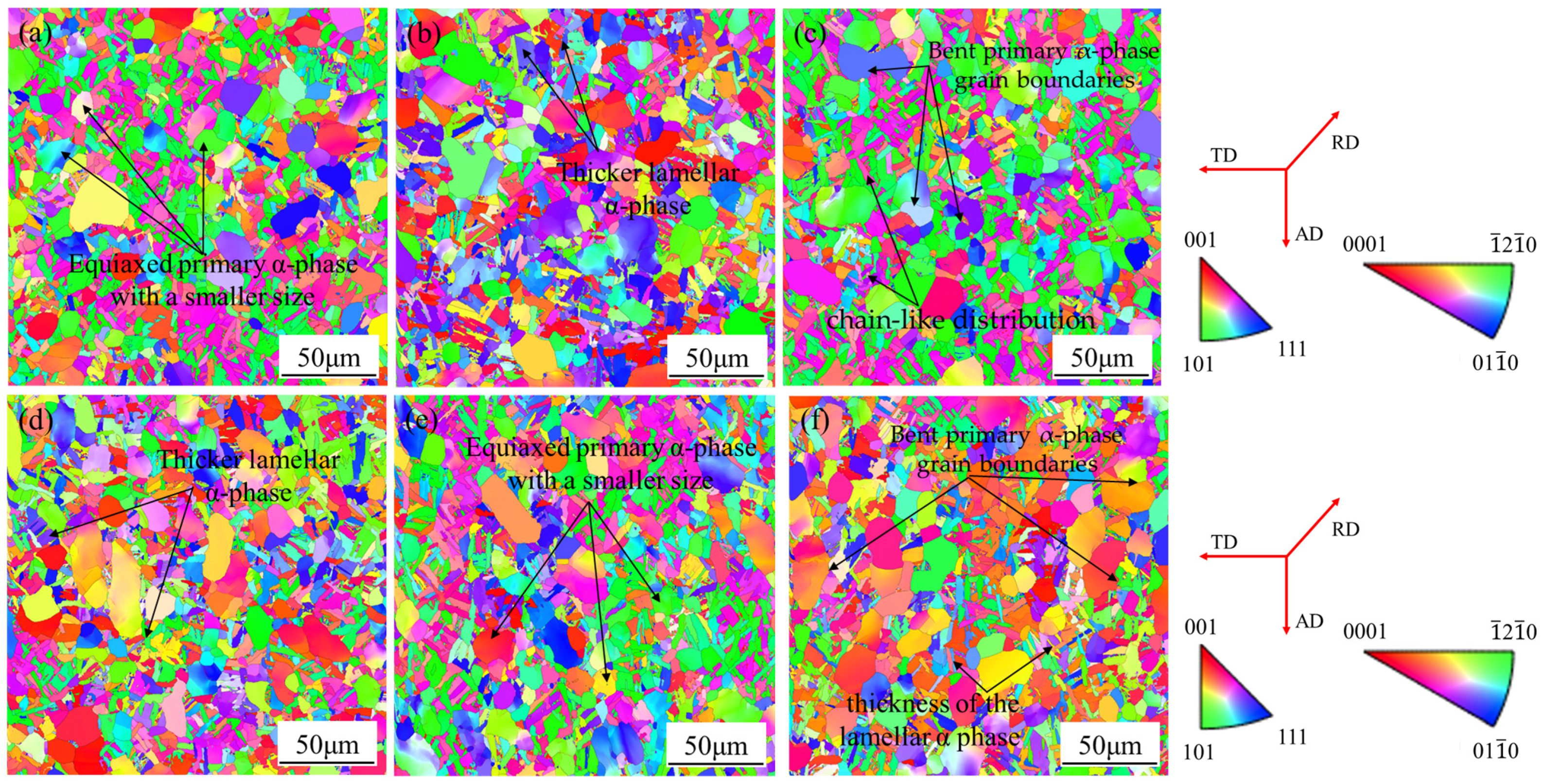 Metals 14 01418 g013