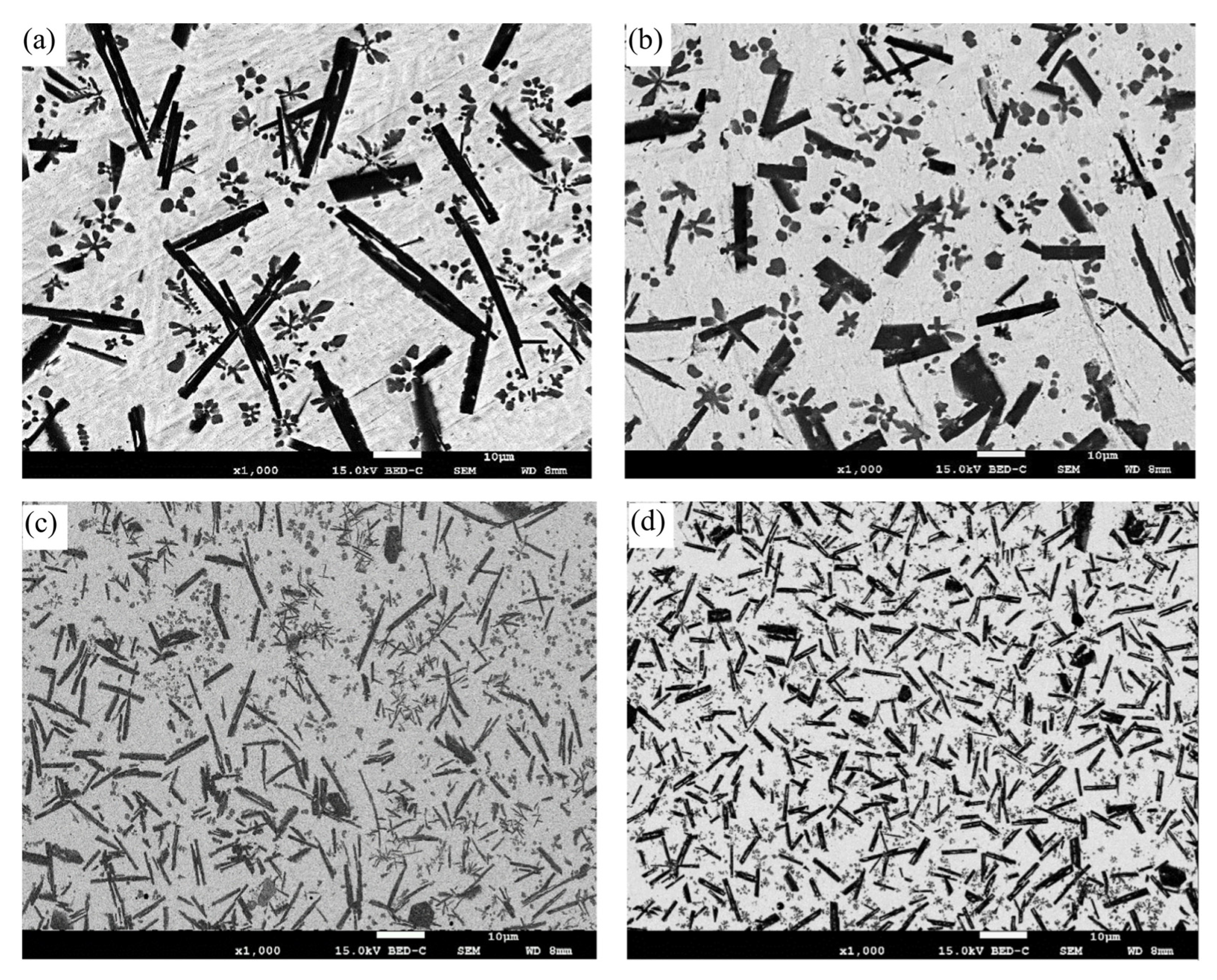 Metals 14 01419 g009