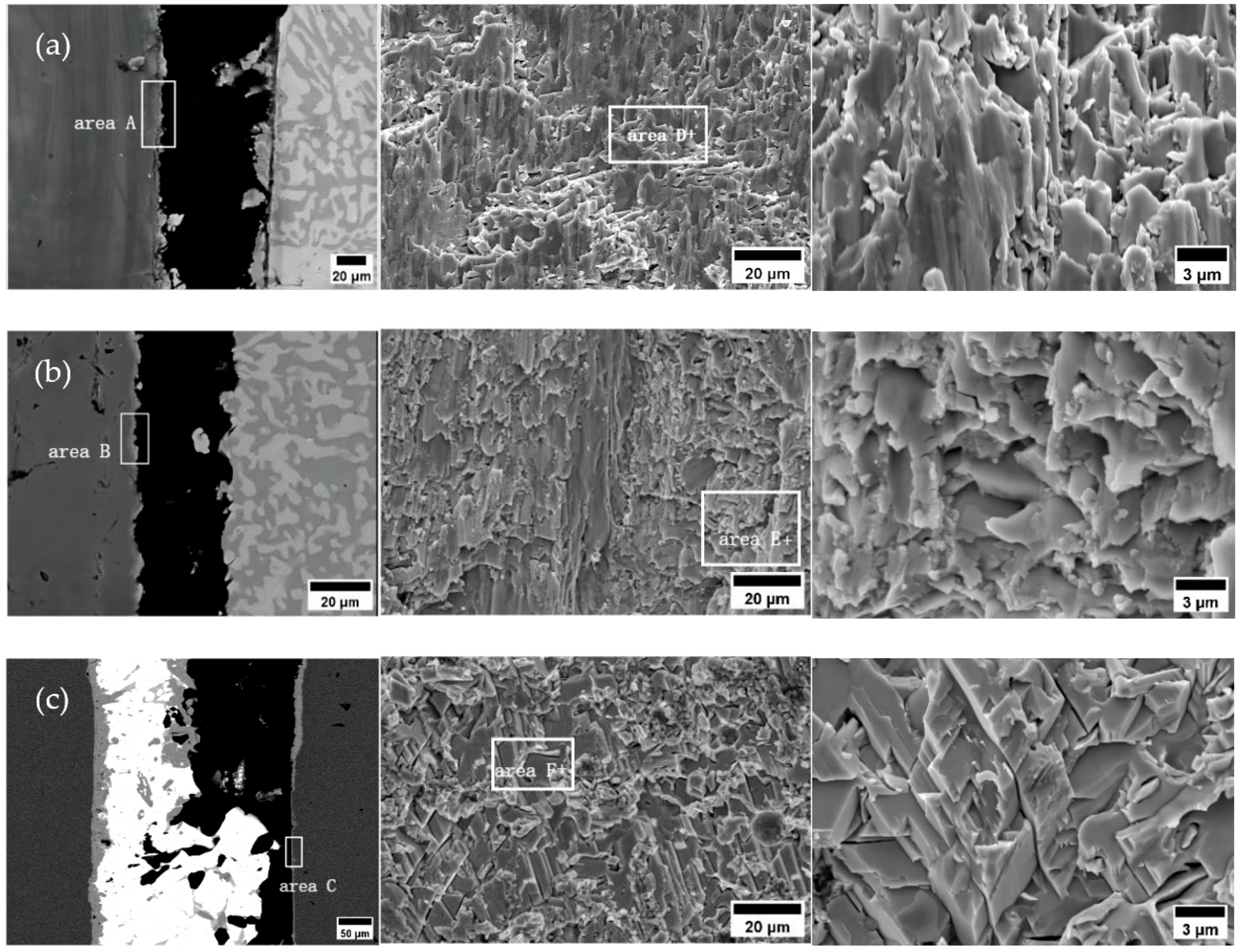 Metals 14 01420 g014