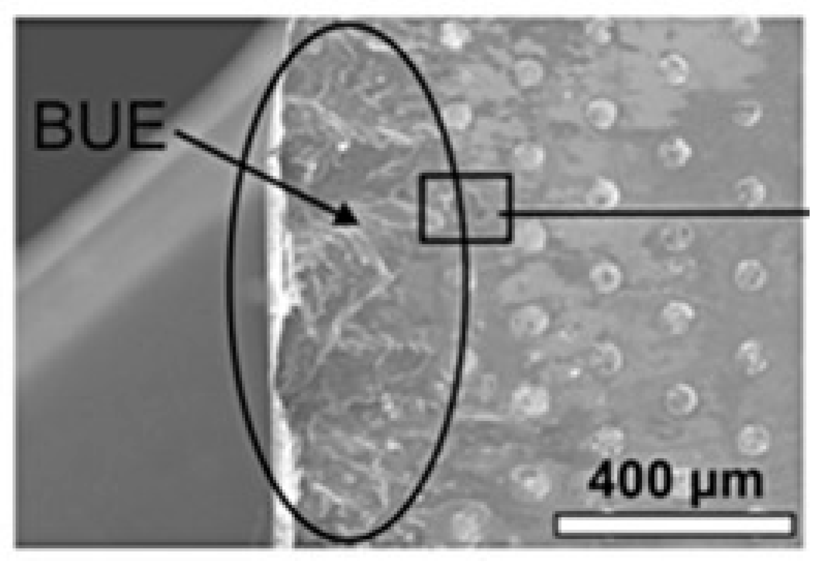 Metals 14 01422 g009